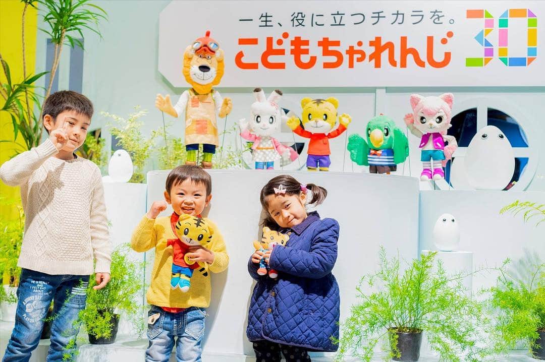 こどもちゃれんじ【公式】さんのインスタグラム写真 - (こどもちゃれんじ【公式】Instagram)「【こどもちゃれんじ30周年記念「こどもちゃれんじ展」を開催しました!】 3月30日（土）に、二子玉川にて、30年の歴史を振り返る「こどもちゃれんじ展」を開催し、抽選で180組様をご招待しました。 当日は、過去にお届けした教材・映像を親子で懐しんでいただきました。 ＜こどもちゃれんじ English＞の人気のビーピーカーに、たくさんの子どもたちが駆け寄ってきてくれました。 スクリーンに映し出された映像を見て、「しまじろうも赤ちゃんだったんだね。かわいいね。」「懐かしの、らむりんだ！」「ママもしまじろうと一緒に勉強をがんばっていたのよ」など、 たくさんの発見や思い出エピソードに花を咲かせ、親子で楽しんでいただきました。 これからも、親子に愛される教材をつくってまいります。 ご来場いただきましてありがとうございました。  #こどもちゃれんじ展　#30周年　#しまじろう」4月2日 15時26分 - kodomochallenge