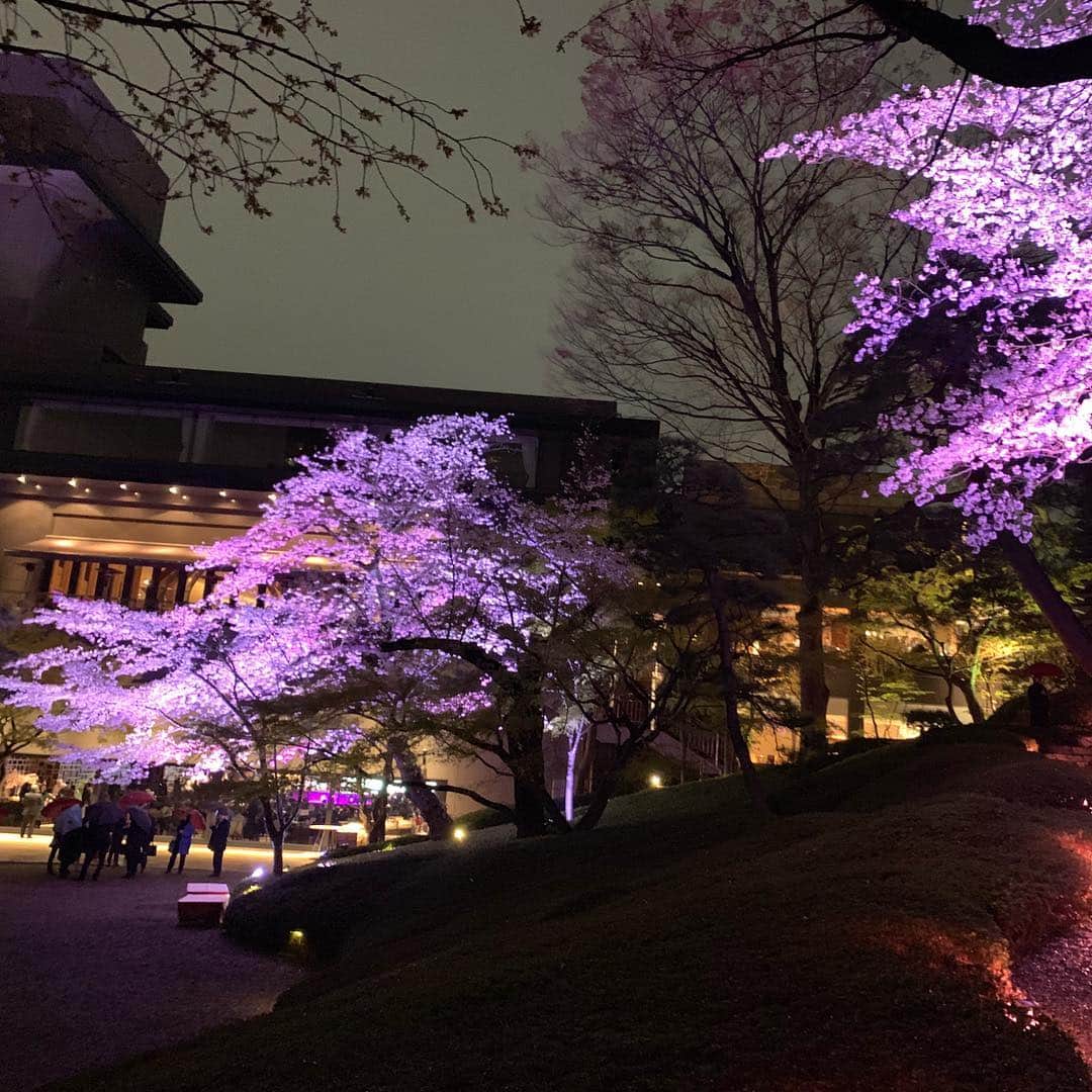 牛窪万里子さんのインスタグラム写真 - (牛窪万里子Instagram)「昨夜はルプレジール主催 『桜を愛でる春の宴─新元号を祝いながら─』の会に参加してきました  会場は桜の庭園が美しい八芳園の「白鳳館」  ライトアップされた桜が幻想的でした。新元号「令和」に決定の記念日。「美プレミアム」水谷編集長と記念撮影。  穏やかで平和な時代の幕開けになりますように。  詳しくはプロフィールのAmeba公式ブログからご覧下さい。  #新元号 #令和 #八芳園 #白鳳館 #ルプレジール  #美プレミアム  #和服 #着物  #着物ヘア  #着物コーディネート  #きもの #着物コーディネート  #着物女子  #着物コーデ  #kimono  #reiwa  #waso100  @waso_world  @bipremium_official @leplaisir_japan」4月2日 15時36分 - mariko_ushikubo