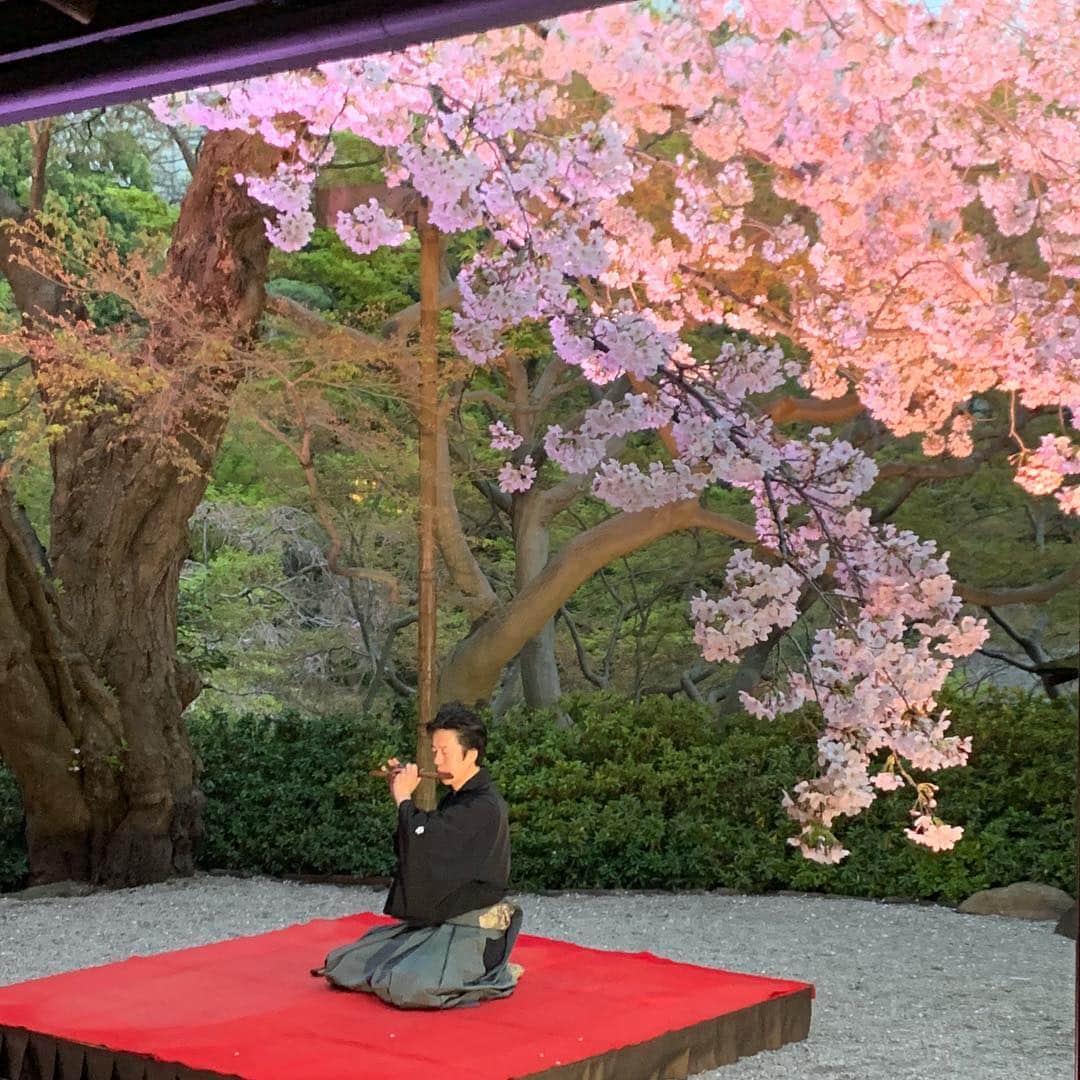 牛窪万里子さんのインスタグラム写真 - (牛窪万里子Instagram)「昨夜はルプレジール主催 『桜を愛でる春の宴─新元号を祝いながら─』の会に参加してきました  会場は桜の庭園が美しい八芳園の「白鳳館」  ライトアップされた桜が幻想的でした。新元号「令和」に決定の記念日。「美プレミアム」水谷編集長と記念撮影。  穏やかで平和な時代の幕開けになりますように。  詳しくはプロフィールのAmeba公式ブログからご覧下さい。  #新元号 #令和 #八芳園 #白鳳館 #ルプレジール  #美プレミアム  #和服 #着物  #着物ヘア  #着物コーディネート  #きもの #着物コーディネート  #着物女子  #着物コーデ  #kimono  #reiwa  #waso100  @waso_world  @bipremium_official @leplaisir_japan」4月2日 15時36分 - mariko_ushikubo