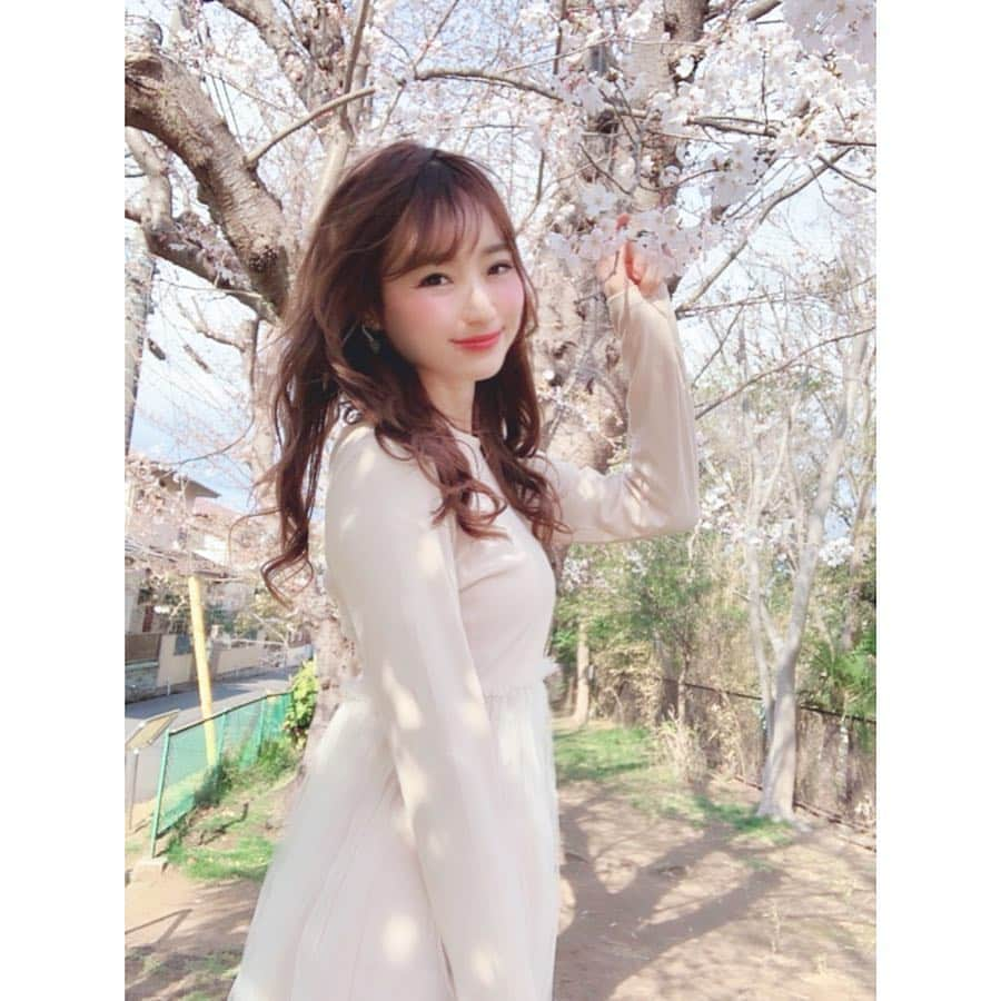 小越しほみさんのインスタグラム写真 - (小越しほみInstagram)「🌸🌸🌸 ・ #桜 #ソメイヨシノ #満開 #春 #spring #sakura #krex #ootd #onepiece #ワンピース #japan #japanesegirl @krex_official」4月2日 15時54分 - shihomi1129