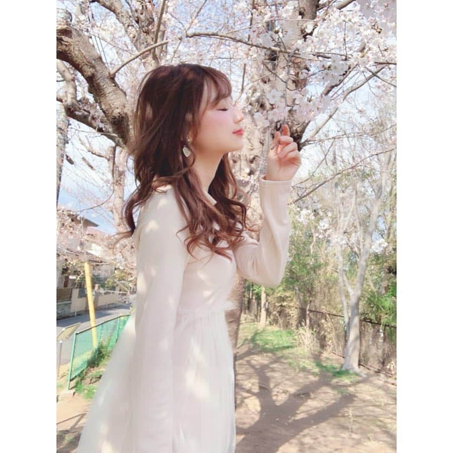 小越しほみさんのインスタグラム写真 - (小越しほみInstagram)「🌸🌸🌸 ・ #桜 #ソメイヨシノ #満開 #春 #spring #sakura #krex #ootd #onepiece #ワンピース #japan #japanesegirl @krex_official」4月2日 15時54分 - shihomi1129