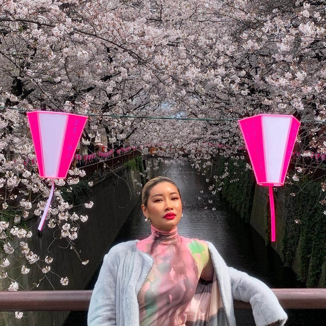 YOONさんのインスタグラム写真 - (YOONInstagram)「🌸PRETTY IN PINK🌸 . Feelin' #Stunna in #Unlocked and Pro Filt'r 260 concealer got me glowing 🌸 @fentybeauty #FENTYFAMILY 💖✌🏽#sakura #tokyo」4月2日 16時23分 - yoon_ambush