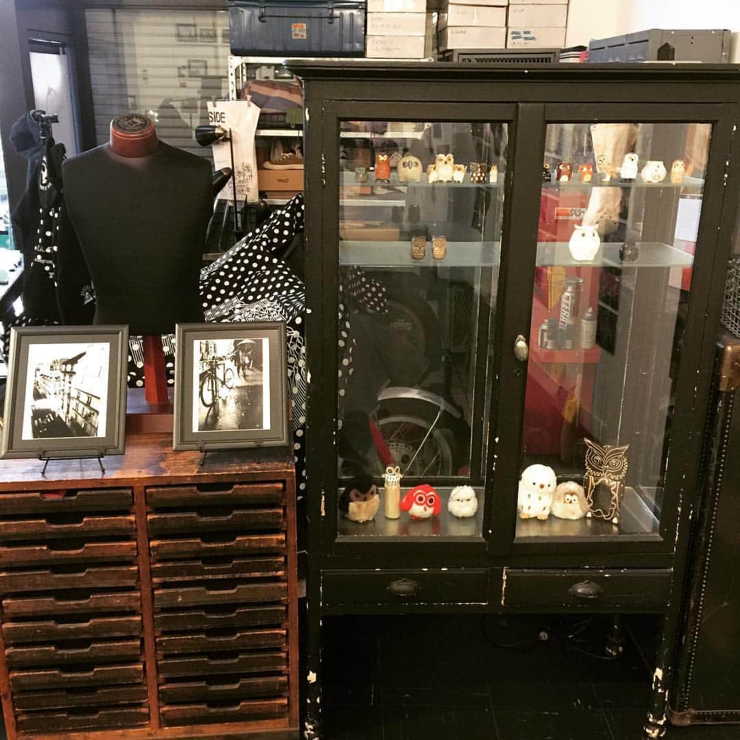 橋本塁さんのインスタグラム写真 - (橋本塁Instagram)「サウシュー岡山写真展初日19時まで！  #サウシュー #岡山 #balanceokayama」4月2日 16時47分 - ruihashimoto