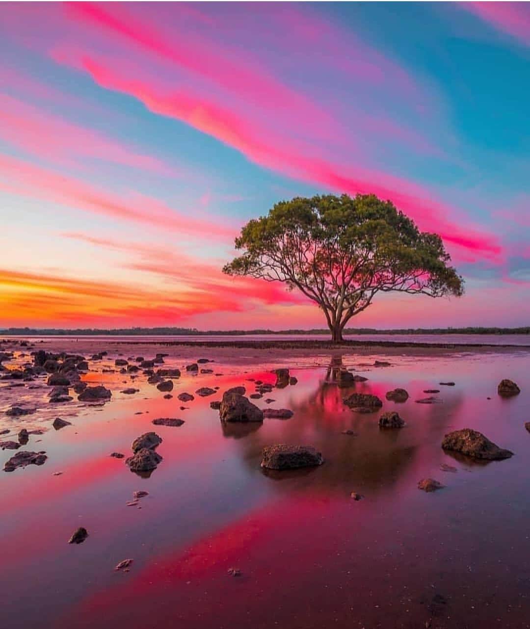 Awesome Wonderful Natureさんのインスタグラム写真 - (Awesome Wonderful NatureInstagram)「Brisbane, Australia Photo by @shipwreckphotography  #fantastic_earth」4月2日 16時51分 - fantastic_earth