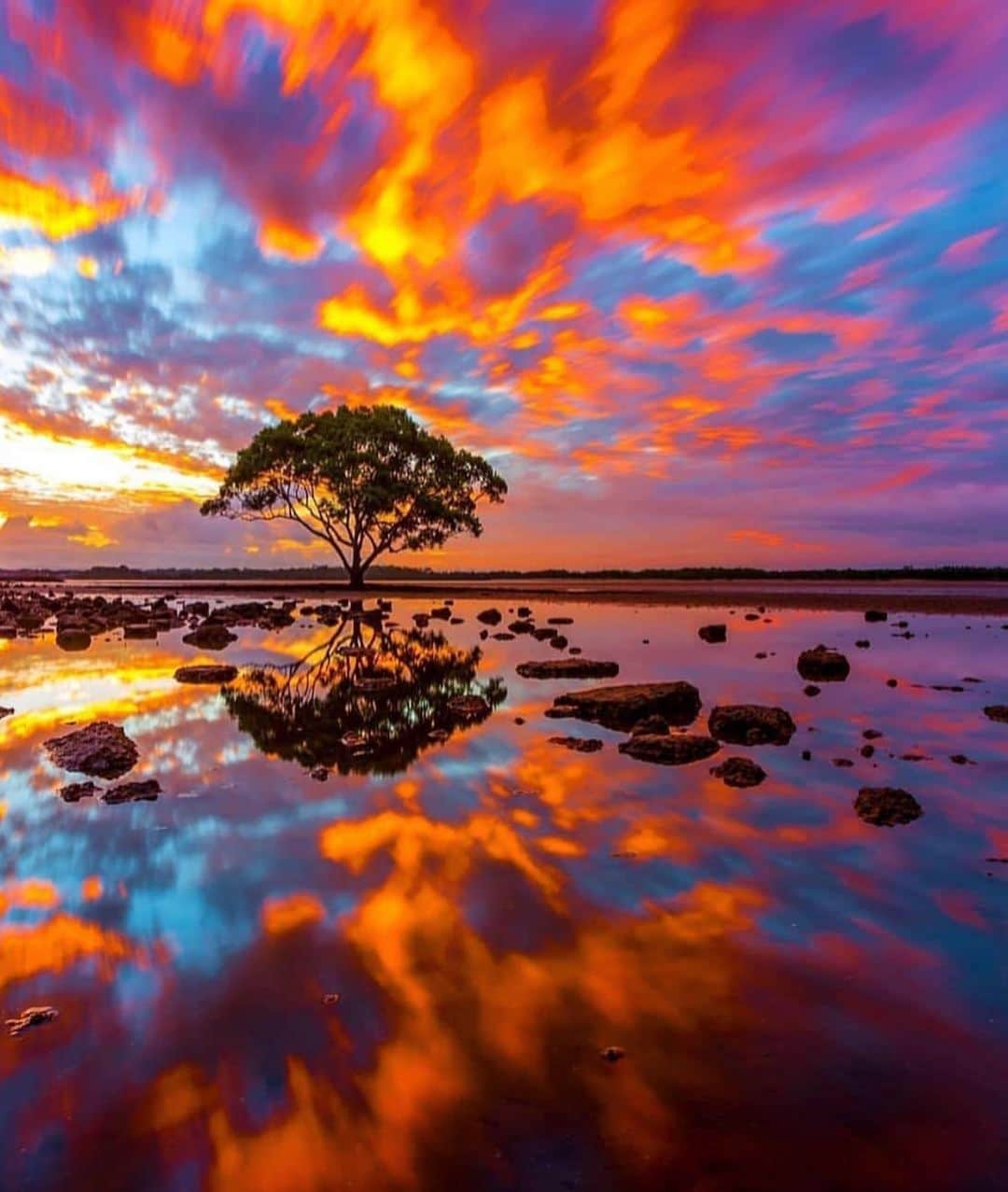 Awesome Wonderful Natureさんのインスタグラム写真 - (Awesome Wonderful NatureInstagram)「Brisbane, Australia Photo by @shipwreckphotography  #fantastic_earth」4月2日 16時51分 - fantastic_earth