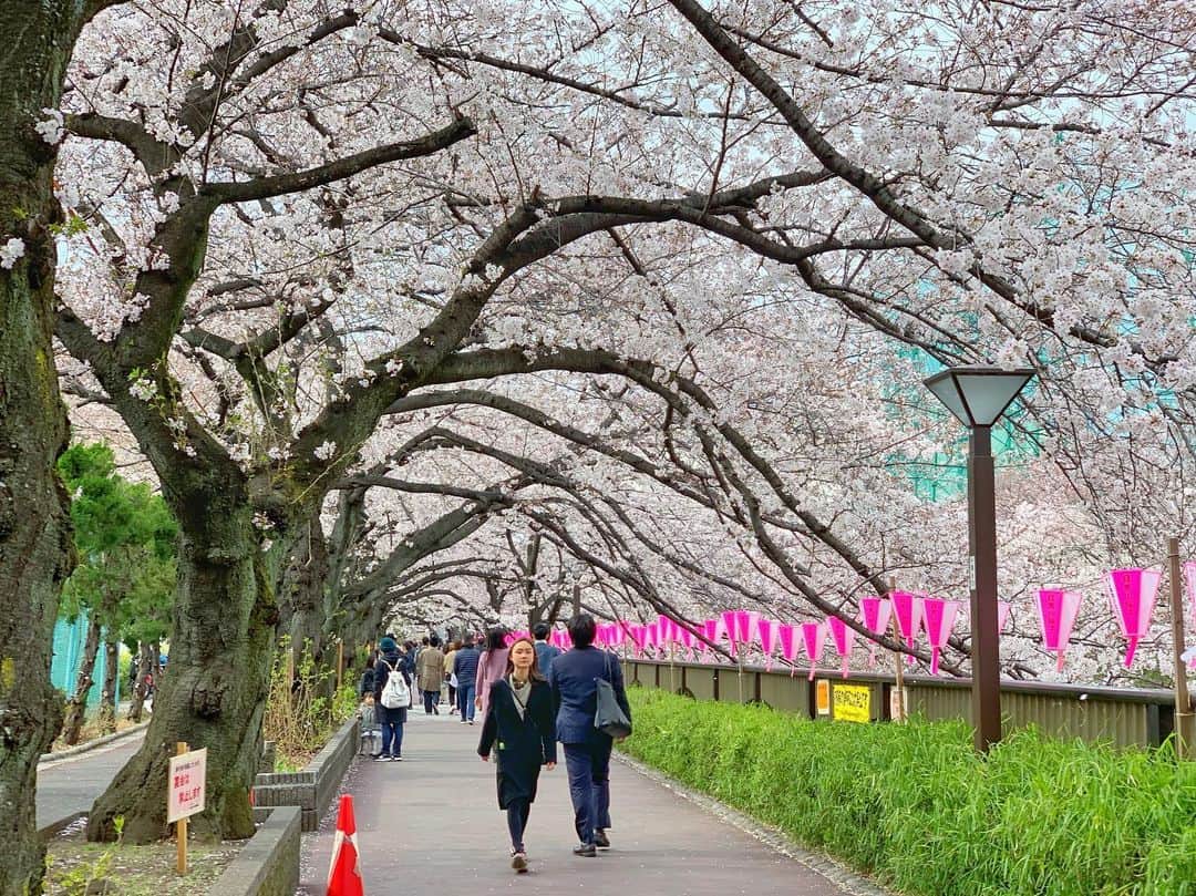中村優さんのインスタグラム写真 - (中村優Instagram)「東京に遊びに来た母と母のお友達と、妹と目黒川沿いをお花見さんぽ🌸💖🌸💖」4月2日 17時05分 - nkmr_yu