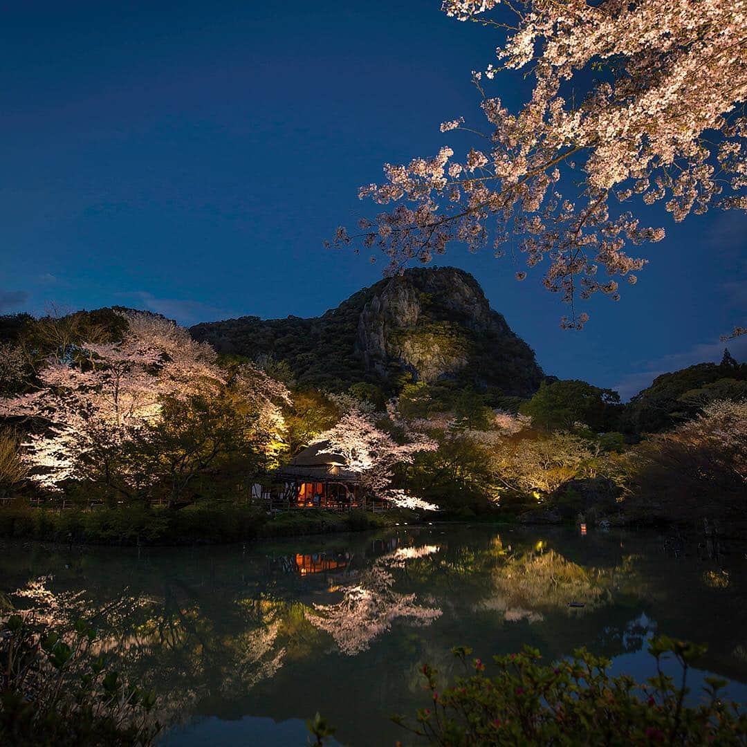 九州電力さんのインスタグラム写真 - (九州電力Instagram)「国指定記念物「御船山楽園」で見る、満開の夜桜🌸✨ . . #九州電力 #kyuden #九電 #九州の灯り #夜桜 #さくら #桜のある風景 #夜桜ライトアップ #花まつり #桜の名所 #春の風景 #桜ライトアップ #水面に映る #春まつり #cherryblossom #nightsakura #sakura2019 #カメラ好きなひとと繋がりたい #カメラ好きとつながりたい #佐賀 #saga #佐賀観光 #佐賀旅行 #御船山楽園 #九州ぐらむ #ファインダー越しの私の世界 #九州旅行 #九州 #kyushu #九州愛」4月2日 17時03分 - kyuden_official