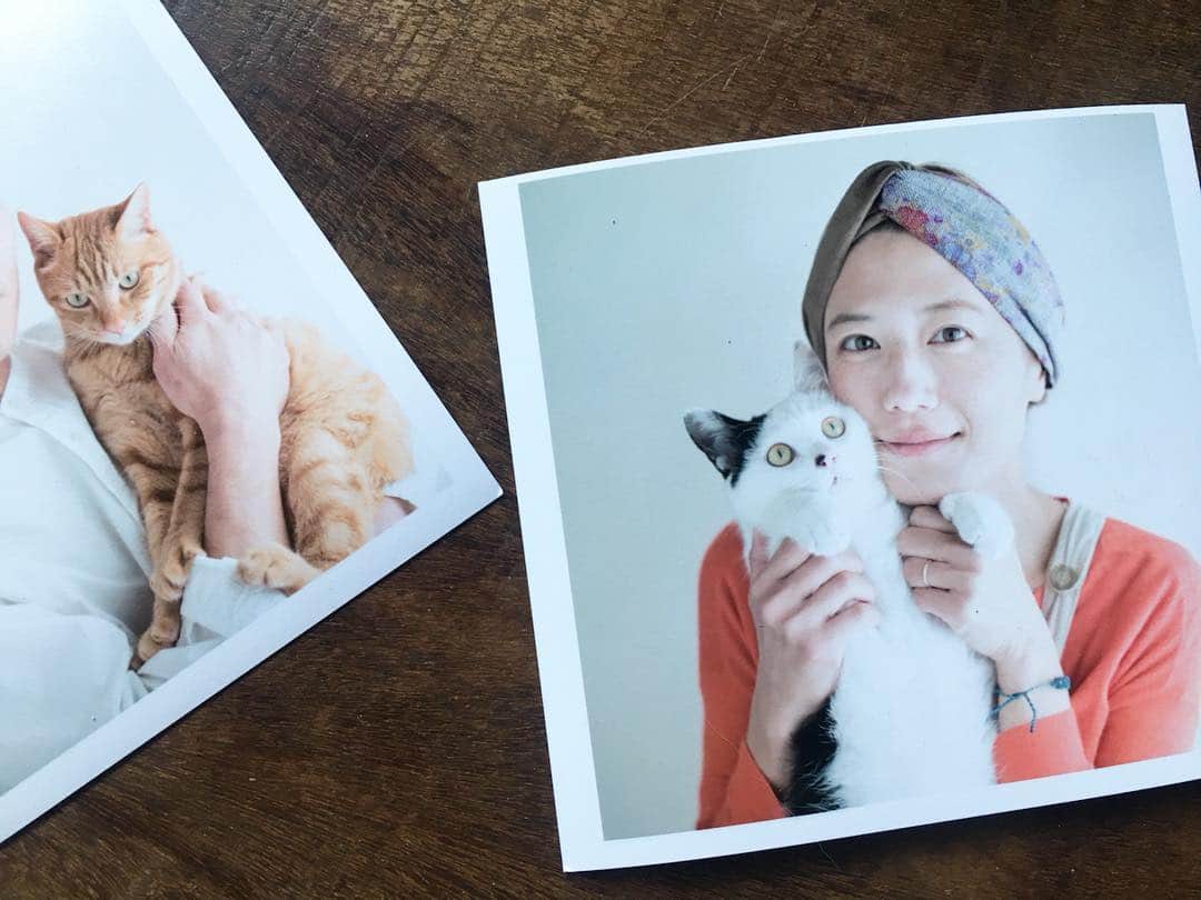 甲斐麻美さんのインスタグラム写真 - (甲斐麻美Instagram)「husbandが撮ってプリントしてくれた。わいわい こういう何気ない写真が好きなんだなあ。  #ねことわたし #元保護猫 #猫との暮らし #写真 #cat #catstagram #catandme #photography #leicam9」4月2日 17時14分 - kaico_asami