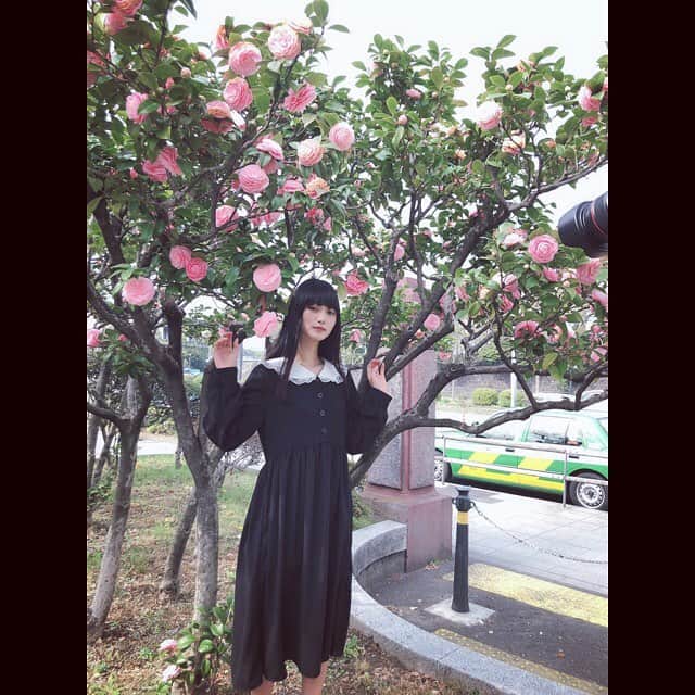 阿知波妃皇さんのインスタグラム写真 - (阿知波妃皇Instagram)「連投してごめんね」4月2日 17時19分 - achinami