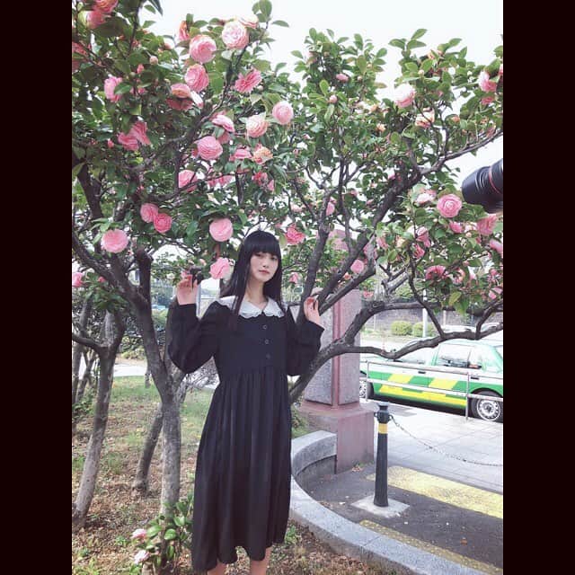 阿知波妃皇のインスタグラム：「連投してごめんね」