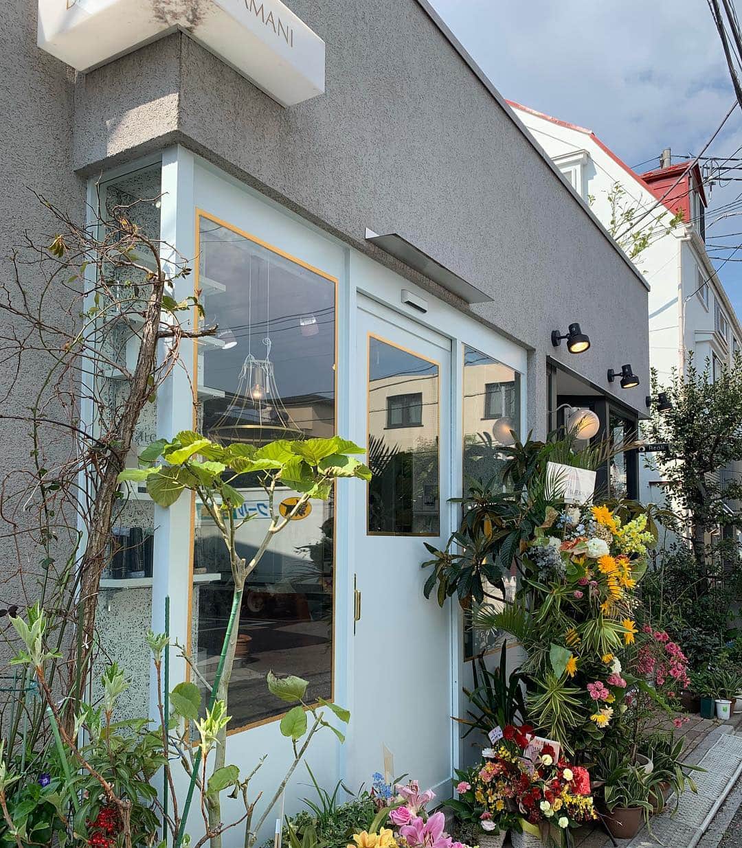 須黒清華のインスタグラム：「いつもお世話になっている美容師さんが、新しいお店をオープン✨ 明るくて優しい気が流れる、素敵な美容室です😊 しばらく伸びきっていた髪を、10cmほどバサリ‼︎✂︎ トリートメントでツヤツヤにしてもらいました✨ いつもぜーんぶお任せ😋 全幅の信頼を寄せています💕 #美容室 #美容室オープン #髪切りました #hairstyle #haircut」