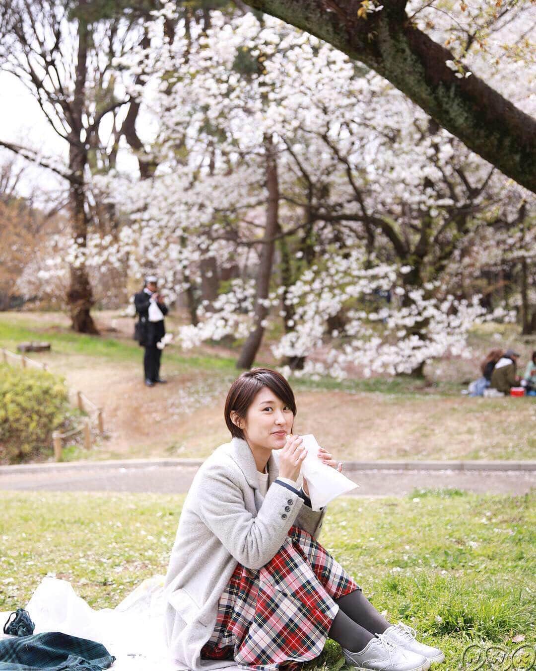 あさイチさんのインスタグラム写真 - (あさイチInstagram)「春らしい写真を撮りたいと、近江アナをお花見に連れ出しました‼️たまには映えた写真撮りたいんです。。。byスタッフ #ブラオウミ #お花見 #散歩 #桜 #cherryblossom #🚶‍♀️#ランチ #春 #スタッフの本気 #いつもスタジオばかりなので #近江友里恵 アナ #nhk #あさイチ #8時15分から」4月2日 17時26分 - nhk_asaichi