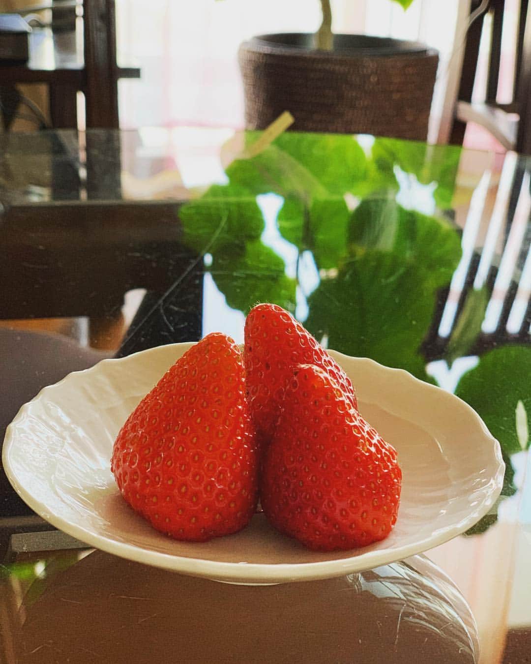 宮城麻里子さんのインスタグラム写真 - (宮城麻里子Instagram)「美味しい〜〜‼️✨ すっごい美味しい！笑 #ファスティング回復食 #ファスティング」4月2日 17時40分 - miyagimariko
