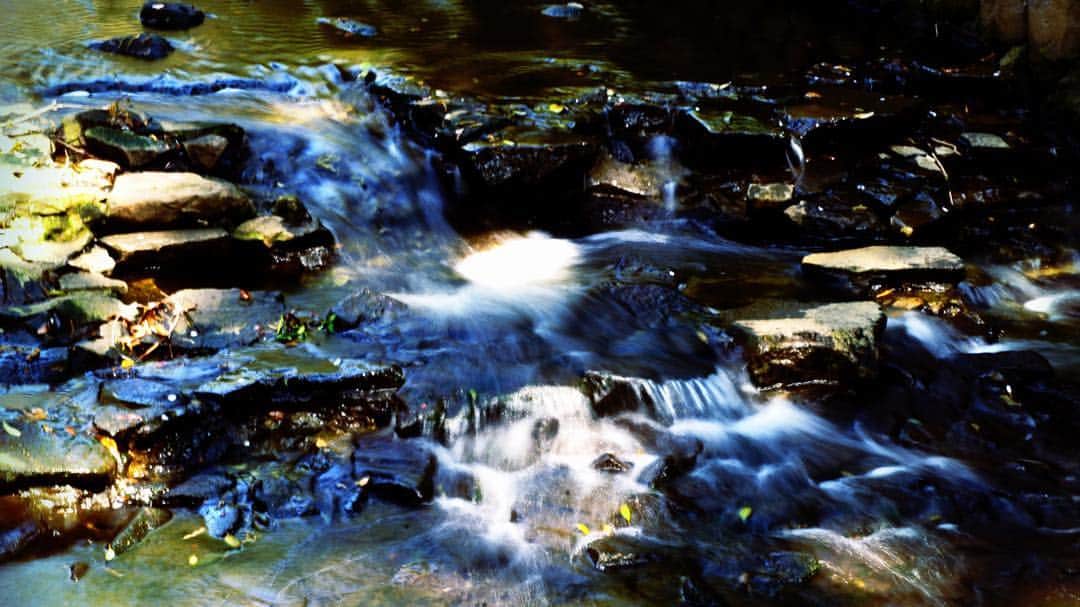 ナノさんのインスタグラム写真 - (ナノInstagram)「Crystal clear.  #nature #water」4月2日 17時34分 - nanonano_me