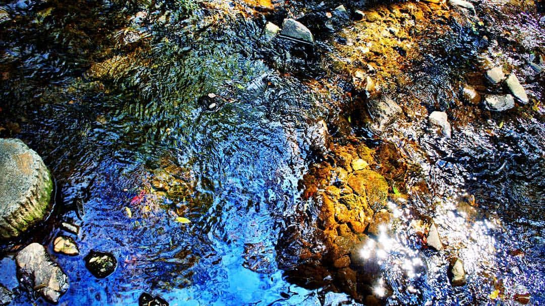 ナノさんのインスタグラム写真 - (ナノInstagram)「Crystal clear.  #nature #water」4月2日 17時34分 - nanonano_me