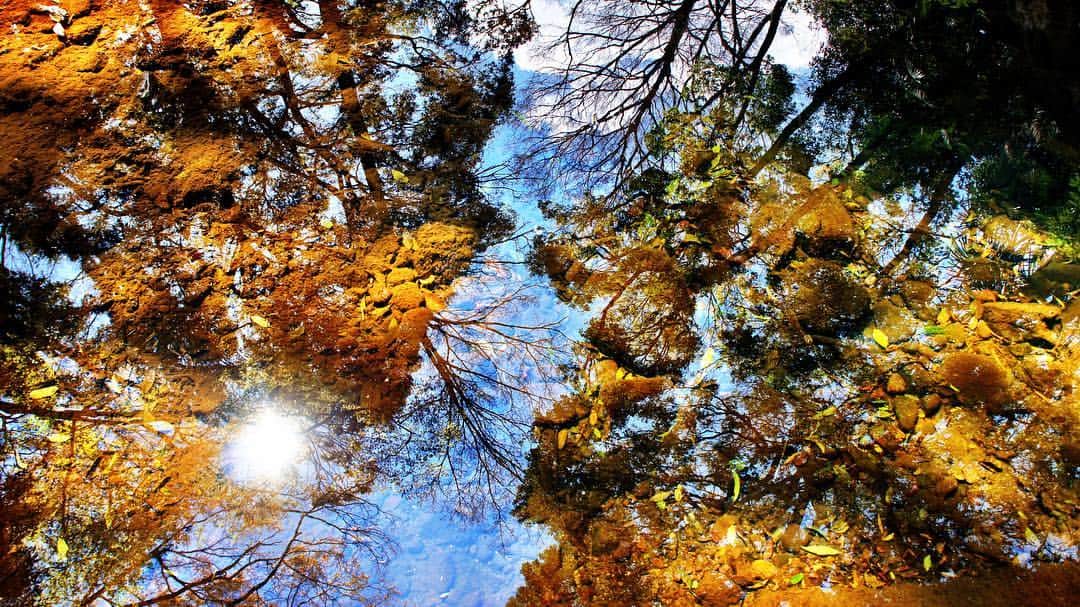 ナノさんのインスタグラム写真 - (ナノInstagram)「Crystal clear.  #nature #water」4月2日 17時34分 - nanonano_me