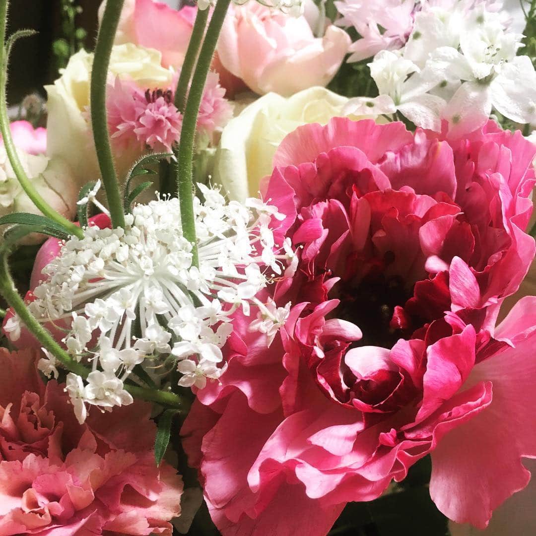 瀬戸かほさんのインスタグラム写真 - (瀬戸かほInstagram)「おめでとうの花束にありがとうございますの気持ちです  #瀬戸かほ花記録」4月2日 17時35分 - kahoseto06