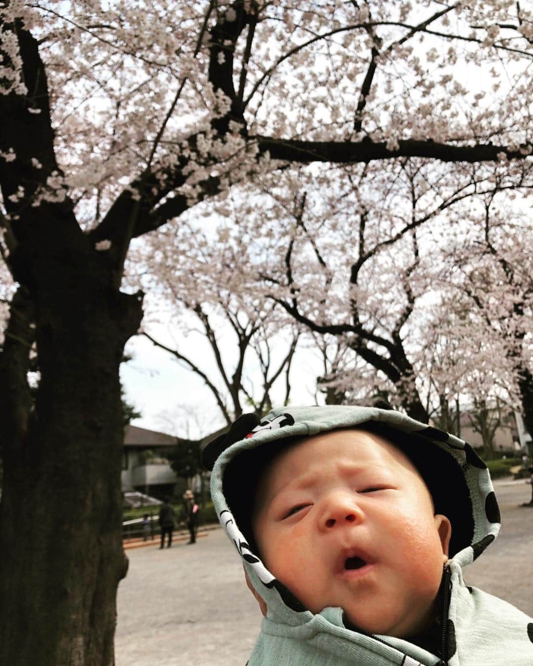 上原誠さんのインスタグラム写真 - (上原誠Instagram)「4月に入りました🌸  2年粘った契約もとれて 幸先が良いです🤫 ジムの内装も着々と進み 知り合いの方々は5月からスタート出来るように動いています。もう少々お待ち下さい。  昭和に生まれ  平成で育ち  令和で飛躍  #令和⁠ ⁠ #平成 #昭和 #花見 #上原誠 #ジム準備中」4月2日 17時45分 - m.uehara