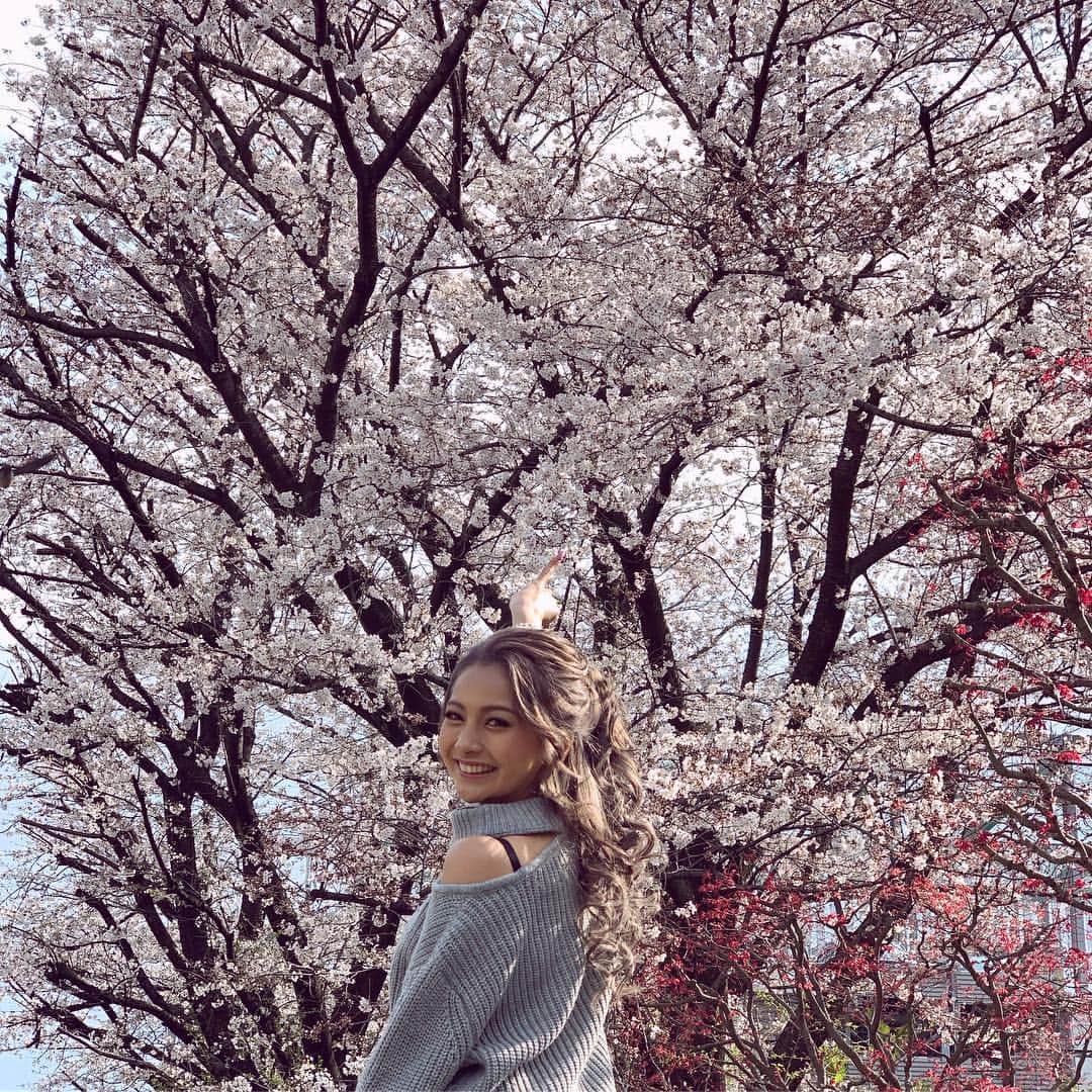 ゆきぽよさんのインスタグラム写真 - (ゆきぽよInstagram)「. . . やっと桜見れた❀.*･ﾟ✿゜:。*. 桜大好き🌸. . . #桜 #cherryblossom #さくら #春 #ギャル #spring #花見 #ポートレート」4月2日 17時46分 - poyo_ngy