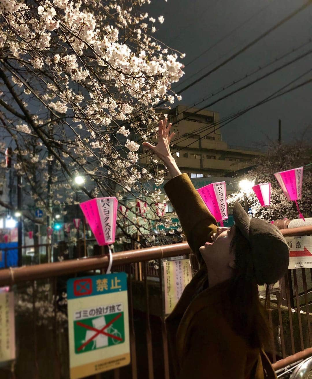 福田沙紀さんのインスタグラム写真 - (福田沙紀Instagram)「2日前、雨の中だけど  中目黒の桜を見ることができました🌸  遅い時間だったのでほとんど人もいない中でしたけど 美しかったなあ。  #手を伸ばしたくなる #届かない #きゅん。」4月3日 3時12分 - sakifukuda_official