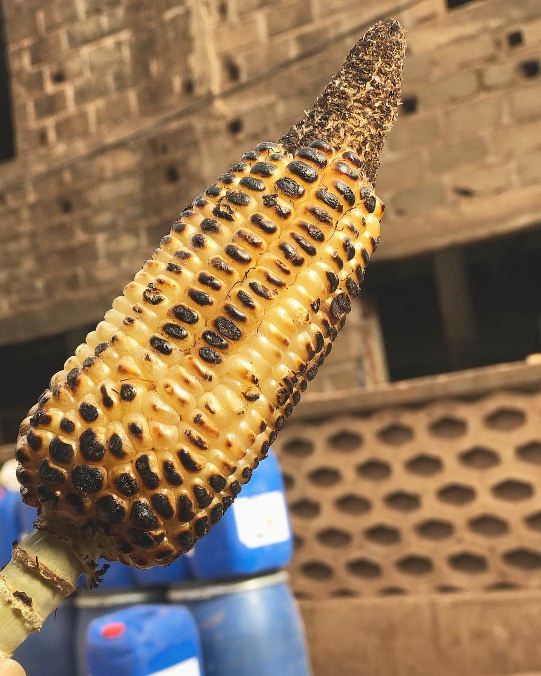 中鉢明子さんのインスタグラム写真 - (中鉢明子Instagram)「🇲🇱#Kaba Grilled corn 🌽 100% #Natural #Bamako #Mali #life #Africa」4月3日 3時20分 - akiko_harlem
