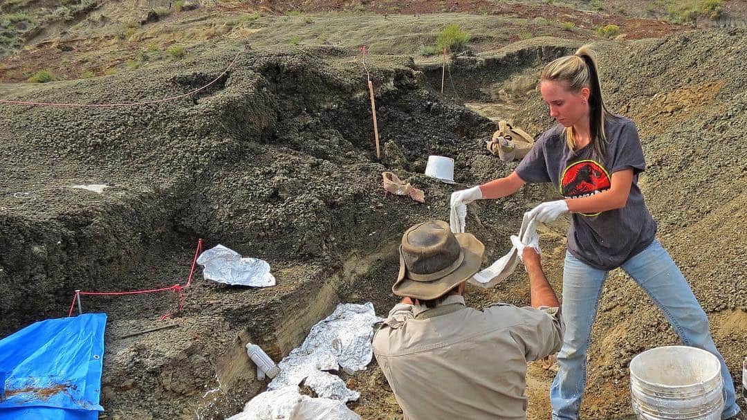 CNNさんのインスタグラム写真 - (CNNInstagram)「A team of paleontologists found the "motherlode of exquisitely preserved animal and fish fossils" in North Dakota. The scientists say the fossil graveyard contains remains from creatures that died 66 million years ago when an asteroid hit Earth. The asteroid is believed to have killed 75% of the planet's animal and plant species, including the dinosaurs. (📸: Robert DePalma/University of Kansas)」4月3日 4時22分 - cnn