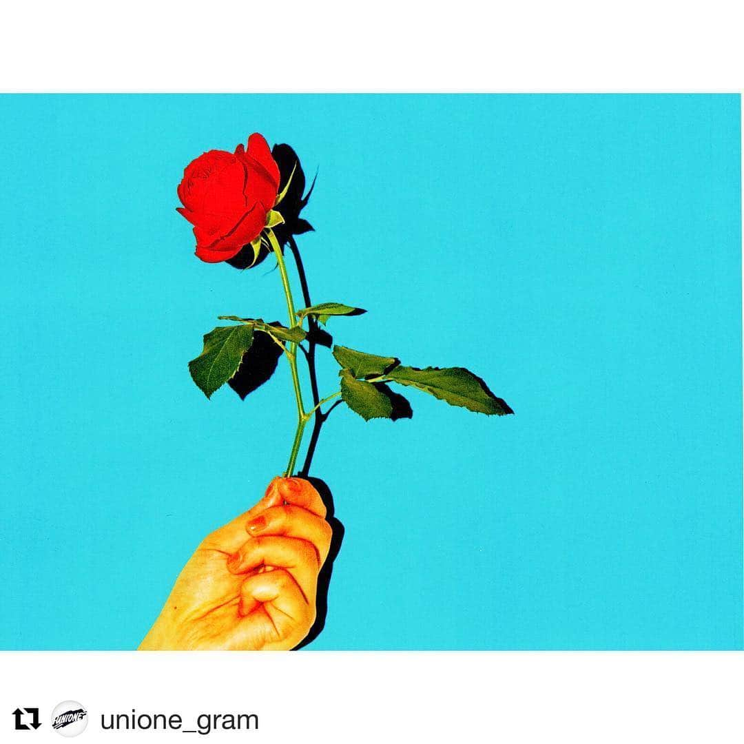 SAMのインスタグラム：「New song 『アマンテ』🌹 2019.6.26 Release!」