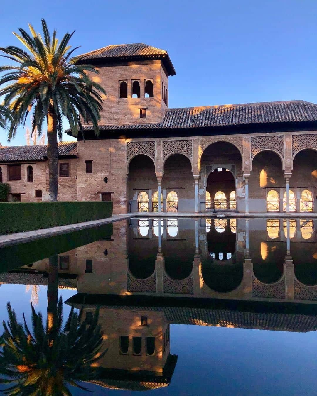 Lonely Planetさんのインスタグラム写真 - (Lonely PlanetInstagram)「#LonelyPlanet editor @noplacelike_it snapped this beautiful shot of #Granada's #Alhambra on a recent trip. Hands up who wishes they were there right now! 🙌」4月2日 19時49分 - lonelyplanet