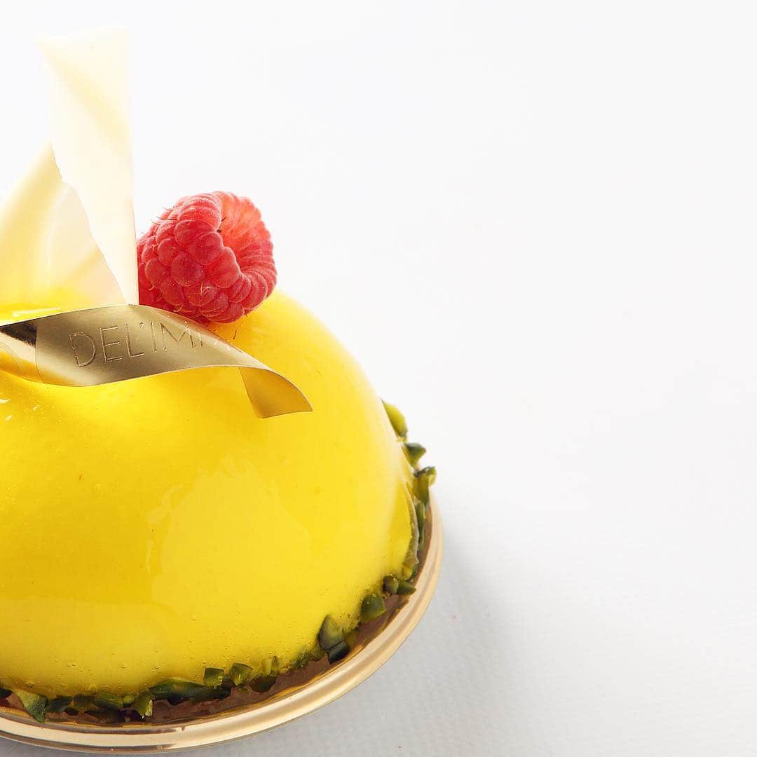 eguchikazuakiのインスタグラム：「新作のケーキ、その名も【クムクワット】😊食べてくれましたか❓クムクワットは金柑です❗️ミルキーな甘さのホワイトチョコレートムースに金柑とイチゴのコンフィを合わせました。紅茶との相性抜群なケーキです、渋谷ヒカリエ、目白、ミッドタウン日比谷で発売しています。 この組み合わせはなかなか珍しいと思うのですが、金柑だけで作るとタルトやアーモンドやバターの香りとよく合います、チョコレートだとちょっとビターめなミルクチョコの相性が良さそう💪今回は酸味の組み合わせのチャレンジで第1アロマはイチゴの酸味、第2アロマは金柑の皮の香り、第3のアロマはパッションと金柑の混ざり合った酸味とホワイトチョコレートの甘み。 ・ これがなんともいえない味わいで、お酒好きな方はぜひ白ワインと合わせてほしいです、リースリングやソーテルヌなんか最高だね👍 ・ 次も準備万端ですよ、どんどん行きます❗️ ・ #delimmo #デリーモ #ケーキ #新作 #クムクワット #柑橘 #ホワイトチョコレート #イチゴ #金柑 #組み合わせ #美味しいよ #パティシエ #ショコラティエ #江口和明 #eguchikazuaki #日本食 #最高 #cake #chocolate #chocolat #gift #patisserie #ilovejapan」