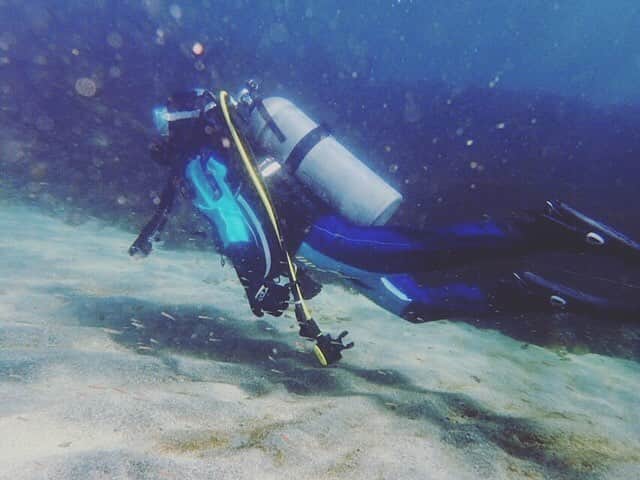 ヒガリノさんのインスタグラム写真 - (ヒガリノInstagram)「__ . 久々のダイビング。初めてのドライスーツ。 暖かいところでしか潜ったことなかったので なんだか新鮮でした。 タツノオトシゴにも会えたよ。 今年はたくさん潜ろう🌊 . #ダイビング #城ヶ島ダイビング #城ヶ島」4月2日 20時08分 - __higarino__