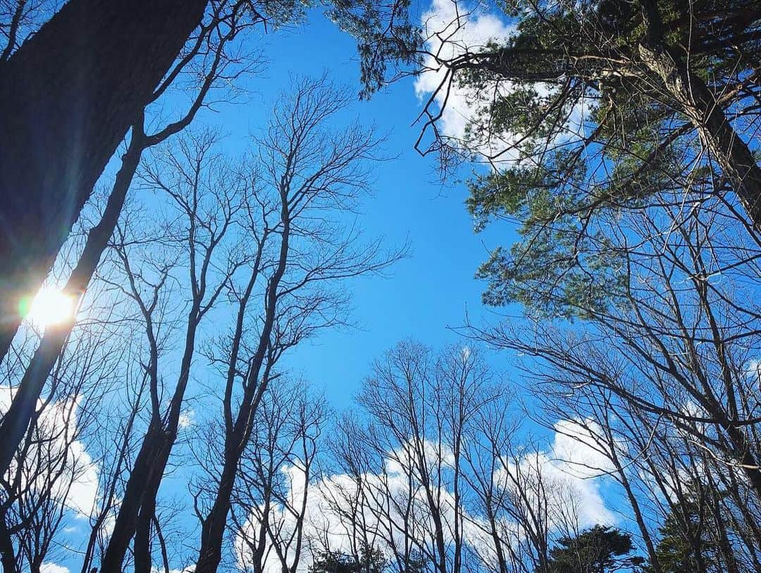 三倉佳奈さんのインスタグラム写真 - (三倉佳奈Instagram)「雪山で牛さんに出会った！ 「遠くへ行きたい」出演します📺✨ . ■日本テレビ「遠くへ行きたい」 4/7（日）6:30～ https://www.ytv.co.jp/tohku/ . (地域によってオンエア日程が異なるのでご確認お願いします🙌🏻) . . まだ雪が残る寒い盛岡で春探し🌸 美味しいものや鉄道や牛etc…沢山巡りました☺︎ . . #女ひとり旅 🌈 #岩手県#盛岡市 #牛 #日本テレビ  #遠くへ行きたい #三倉佳奈」4月2日 20時12分 - kana_mikura0223