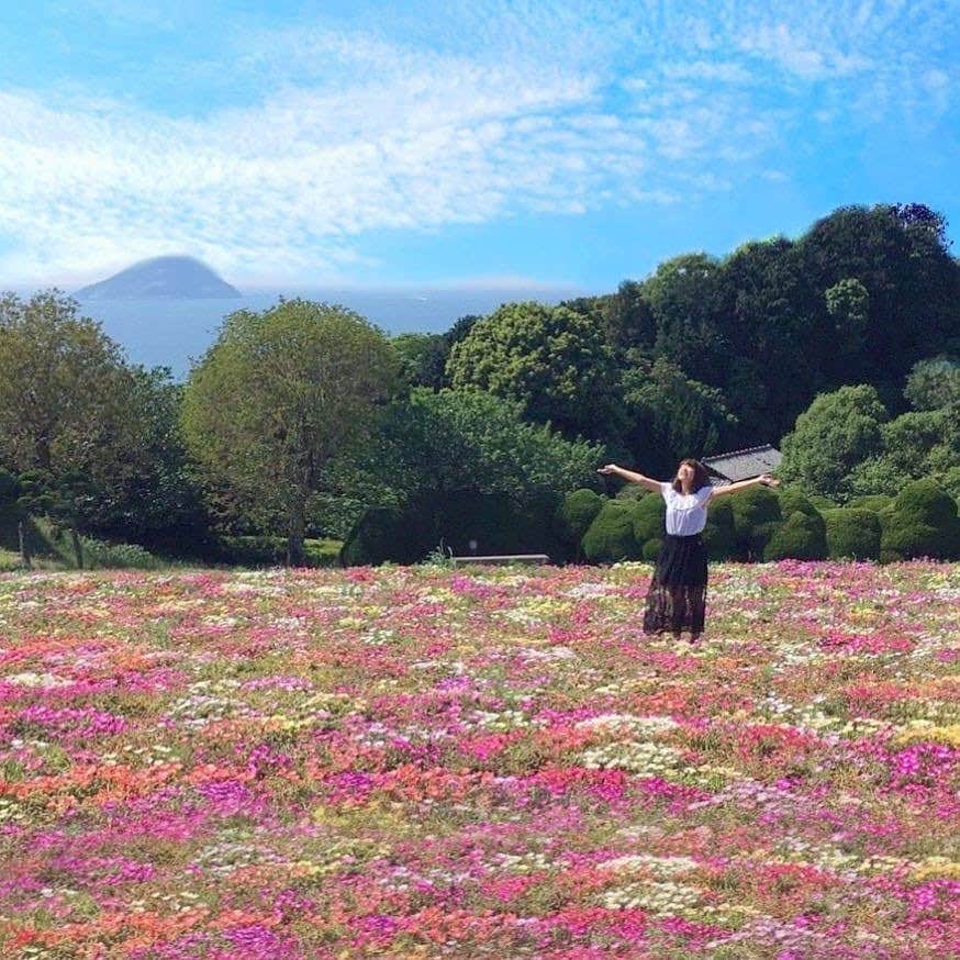 のインスタグラム：「こんばんは😊 「春」を楽しんでいるお写真は 「#タビジョ」とあわせて 「#tabijyo_spring」でお待ちしてます🌸 本日はこちら💕 ＊＊＊＊＊＊ 📸@rie_tabiさん 🚩福岡・能古島 「のこのしまアイランドパーク」 🎙ご本人コメント 福岡の春といえば 能古島にあるお花畑🌸🌼🌸 . 撮影スポットから写真を撮るだけで カラフルなリビングストンデージーに 囲まれたかのような写真になっちゃう🕊❤︎ . 能古島ならではの景色と一緒に楽しめるお花畑💐 ＊＊＊＊＊＊ こちらの綺麗なお花は「リビングストンデイジー」っていうんですね✨ 素敵なお写真ありがとうございます💝 ＊＊＊＊＊＊ 【新たなタビジョレポーター 本日の夜から募集スタート 🎉】 今回は、2名のレポーター募集です😆 さて、どこをレポートして頂くのでしょうか？ ヒントは、Twitter「タビジョ」アカウントで発信中！ ぜひフォローしてチェックしてくださいね💁‍♀️ https://twitter.com/tabijyoofficial ＊＊＊＊＊＊ 【「#タビジョラン」NEWイベント 2019年4月20日(土)参加者募集中👭】 「一生に一度はホノルルマラソンに出てみたい」 と思ったことありませんか？ 今回のイベントの舞台は、海沿いランで ハワイ気分を味わえる「横浜」✨ そしてゴールは、ハワイイベントの会場⁉️ 「初心者」「お1人参加」大歓迎！ ご参加おまちしてます😊 ※詳細は、アカウント🔝のURLから チェックしてください😊 @tabi_jyo ＊＊＊＊＊＊ #タビジョ #タビジョと繋がりたい #tabijyomap_fukuoka #tabijyo_spring」