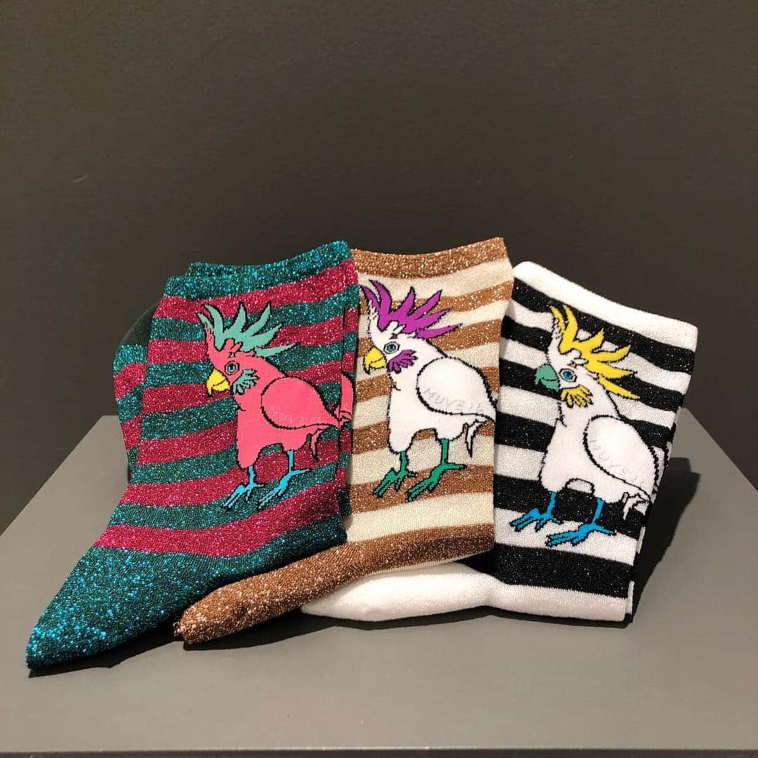BEAMS JAPANさんのインスタグラム写真 - (BEAMS JAPANInstagram)「＜MUVEIL＞ Womens ラメ Border オウム Sox  BEAMS JAPAN 3F  @beams_japan #muveil  #beams  #raybeams #beamsjapan #beamsjapan3rd Instagram for New Arrivals Blog for Recommended Items #japan #tokyo #shinjuku #mensfashion #womensfashion #日本 #東京 #新宿 #ファッション#メンズファッション #ウィメンズファッション #ビームス #ビームスジャパン」4月2日 20時29分 - beams_japan