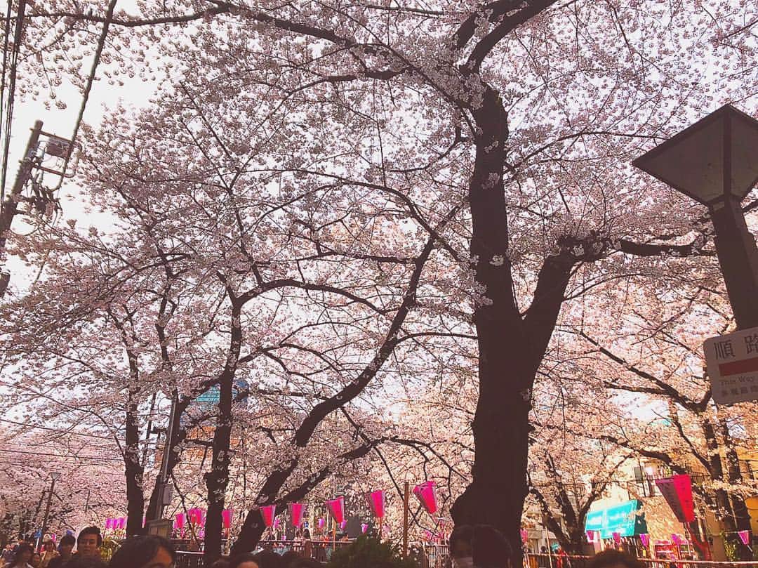 ZAQさんのインスタグラム写真 - (ZAQInstagram)「中目黒でお花見してきた (●´ω`●)💓 人めっちゃ多かったけど、こういうのって面倒くさがらずに行っとくものだなぁと思ったよ(｡･ω･)ﾉﾞ  桜綺麗だなーっていうより、 春なんだなぁーって、誰かのことを想う日なのかも。  皆さんはお花見しましたか？？？」4月2日 20時31分 - zaq39