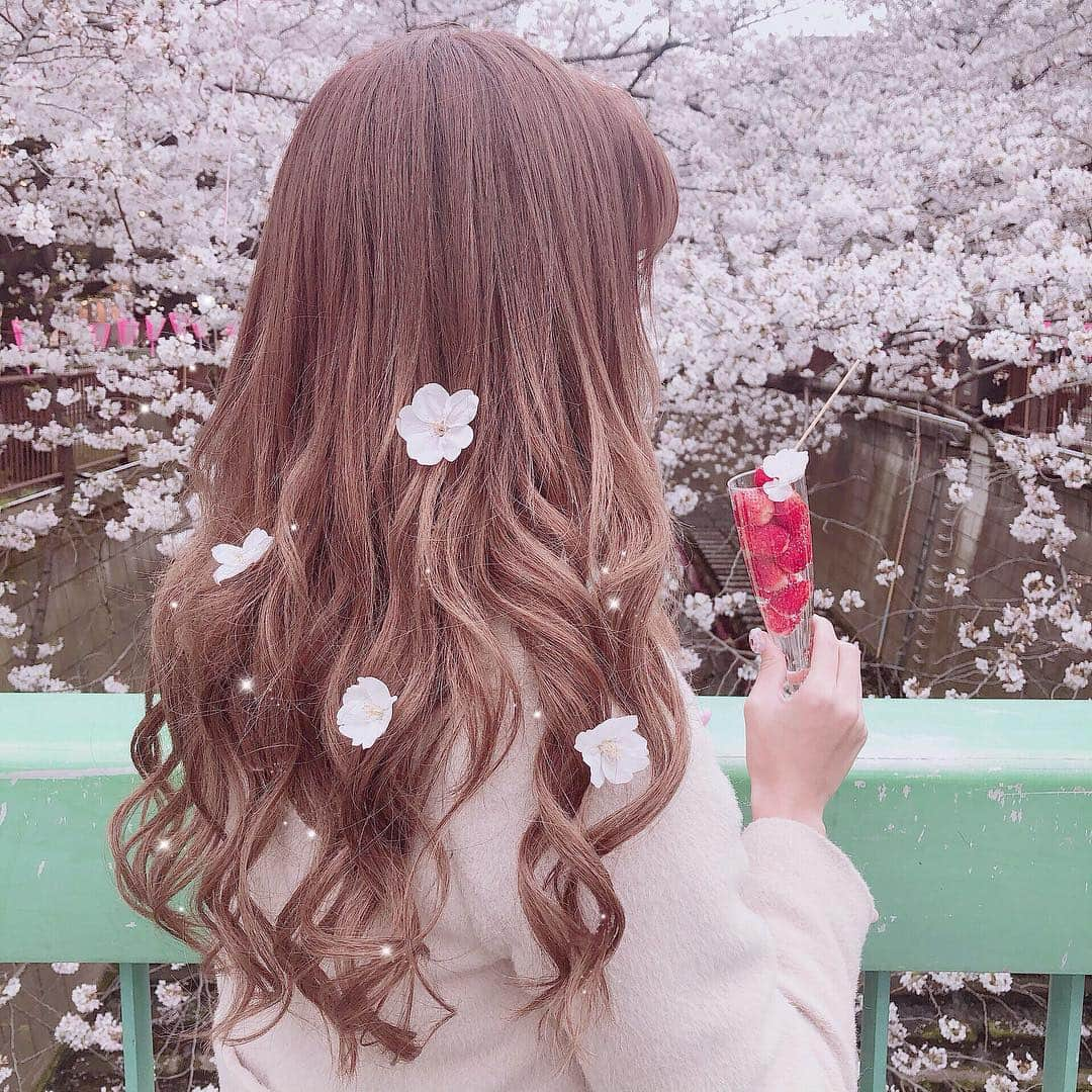 さきぼんさんのインスタグラム写真 - (さきぼんInstagram)「今年もこれた🌸 お花は鳩が落としてたのを拾ったよ🐦( '-' 🐦 ) . . #中目黒 #中目黒桜祭り #中目黒桜 #中目黒さくらまつり #中目黒スイーツ  #ソメイヨシノ #目黒川桜 #sakura #cherryblossom #さきぼんスプリング🌸 #さきぼんhot❣️」4月2日 20時46分 - sakibon69