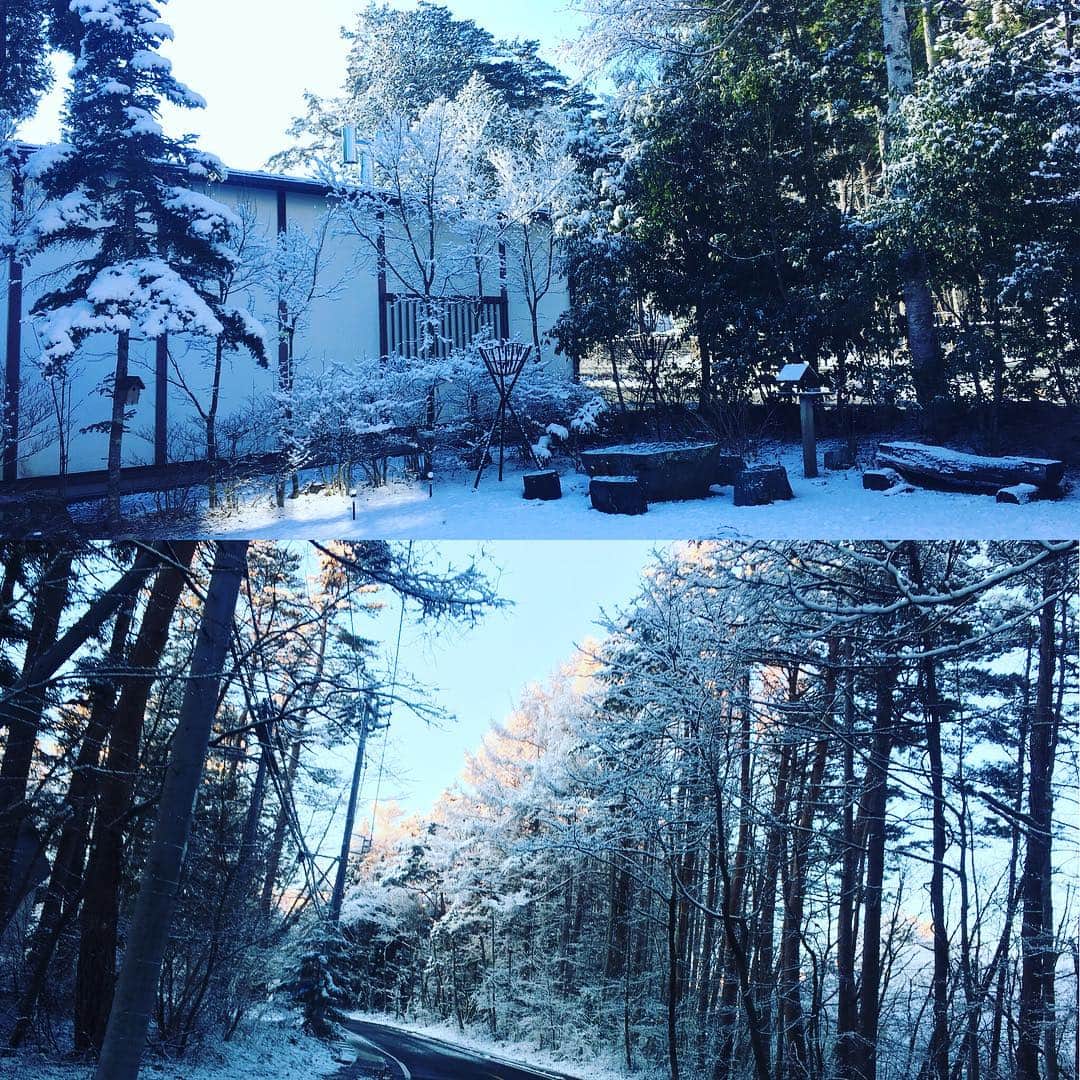 ほうとう 富士の茶屋のインスタグラム：「ご無沙汰しております、富士の茶屋です😊 富士吉田・河口湖 今朝方ちらっと雪が降りまして雪の華が咲いておりました❄️ 今週の金曜日4/5から再オープンとなります。勝手ながら長いお休みとなりましたが、またよろしくお願い致します😊  #ほうとう#富士の茶屋#富士吉田#河口湖#雪#雪景色#ちょい雪#1日で溶けました笑#アクセスは問題ないので#ご安心を☺️」