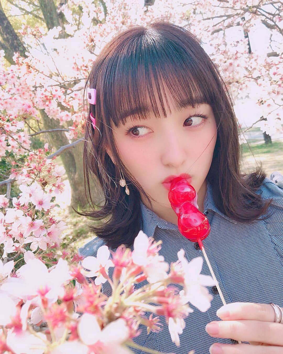 田島芽瑠さんのインスタグラム写真 - (田島芽瑠Instagram)「🌸🌸🌸 #舞鶴公園 #さくら  #お花見  #いちご飴 #🍓#🌸 #ヘアピン #chuu #chuujapan #nwith #新しいプロフィール画像 #sakura🌸 #ロブ」4月2日 21時00分 - meru_chan_official