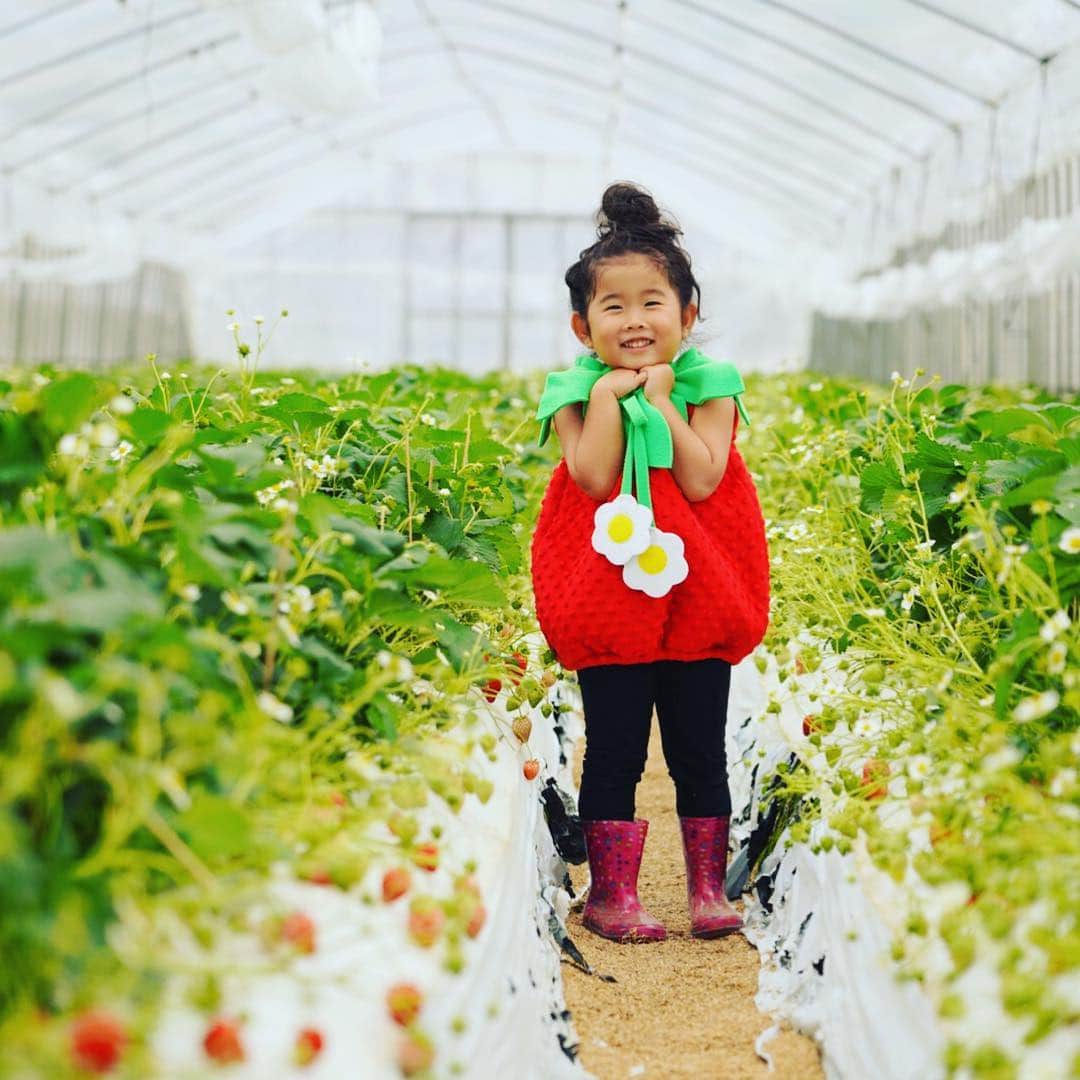 美馬寛子さんのインスタグラム写真 - (美馬寛子Instagram)「いつも私をインスパイアしてくれるGiveness International！ 今日、三重にあるGiveness Intaernational の遊士屋が運営してる苺農園 @berry.japan にお邪魔してきましたー🍓  おめでたい紅白の苺のBERRY🍓 バンコクやシンガポールでも大人気だそうで、、、 改めてに日本の苺の素晴らしさを実感！ “ICHIGO” と “strawberry”って本当にちがう😳 私が”苺士さん”って言ったら、みんな笑ってくれたけど、、、遊士屋苺農園の方々の笑顔をみると、自分の仕事への誇りや、人生の意義とか、、、苺、一粒一粒への愛情やそれを日本、世界に届ける思いとか、、、すごく伝わってきました‼︎ 彼らが、「大人がここまでピュアな笑顔できるんだ」って気づかせてくれました！2019 @missuniversejapan のセミファイナリスト達も、苺士さんみたいな、意義を持った人生送って欲しいな😊🍓 * * #いちご #いちごがり🍓 #strawberry #三重 #spring」4月2日 21時11分 - hirokomima