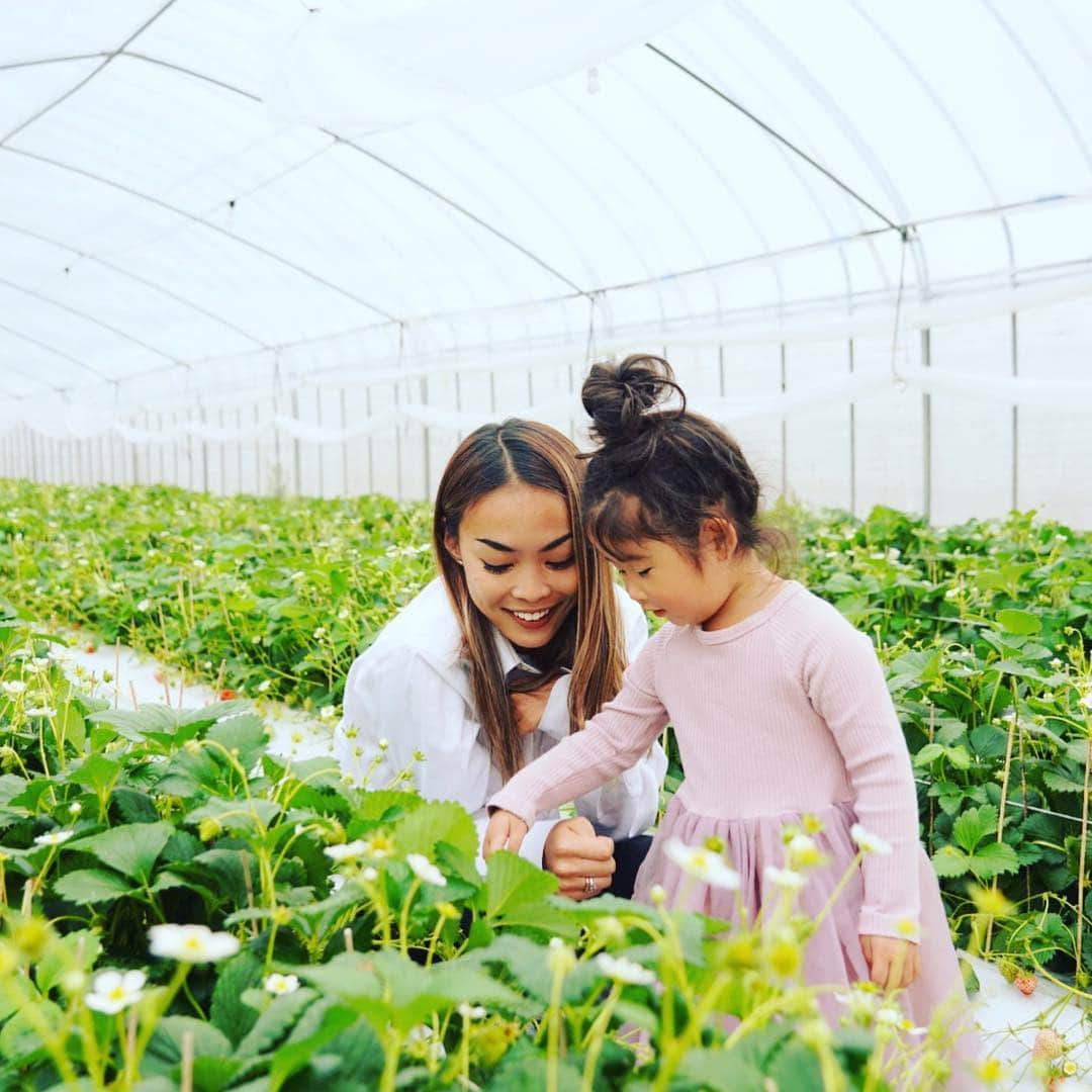美馬寛子さんのインスタグラム写真 - (美馬寛子Instagram)「いつも私をインスパイアしてくれるGiveness International！ 今日、三重にあるGiveness Intaernational の遊士屋が運営してる苺農園 @berry.japan にお邪魔してきましたー🍓  おめでたい紅白の苺のBERRY🍓 バンコクやシンガポールでも大人気だそうで、、、 改めてに日本の苺の素晴らしさを実感！ “ICHIGO” と “strawberry”って本当にちがう😳 私が”苺士さん”って言ったら、みんな笑ってくれたけど、、、遊士屋苺農園の方々の笑顔をみると、自分の仕事への誇りや、人生の意義とか、、、苺、一粒一粒への愛情やそれを日本、世界に届ける思いとか、、、すごく伝わってきました‼︎ 彼らが、「大人がここまでピュアな笑顔できるんだ」って気づかせてくれました！2019 @missuniversejapan のセミファイナリスト達も、苺士さんみたいな、意義を持った人生送って欲しいな😊🍓 * * #いちご #いちごがり🍓 #strawberry #三重 #spring」4月2日 21時11分 - hirokomima