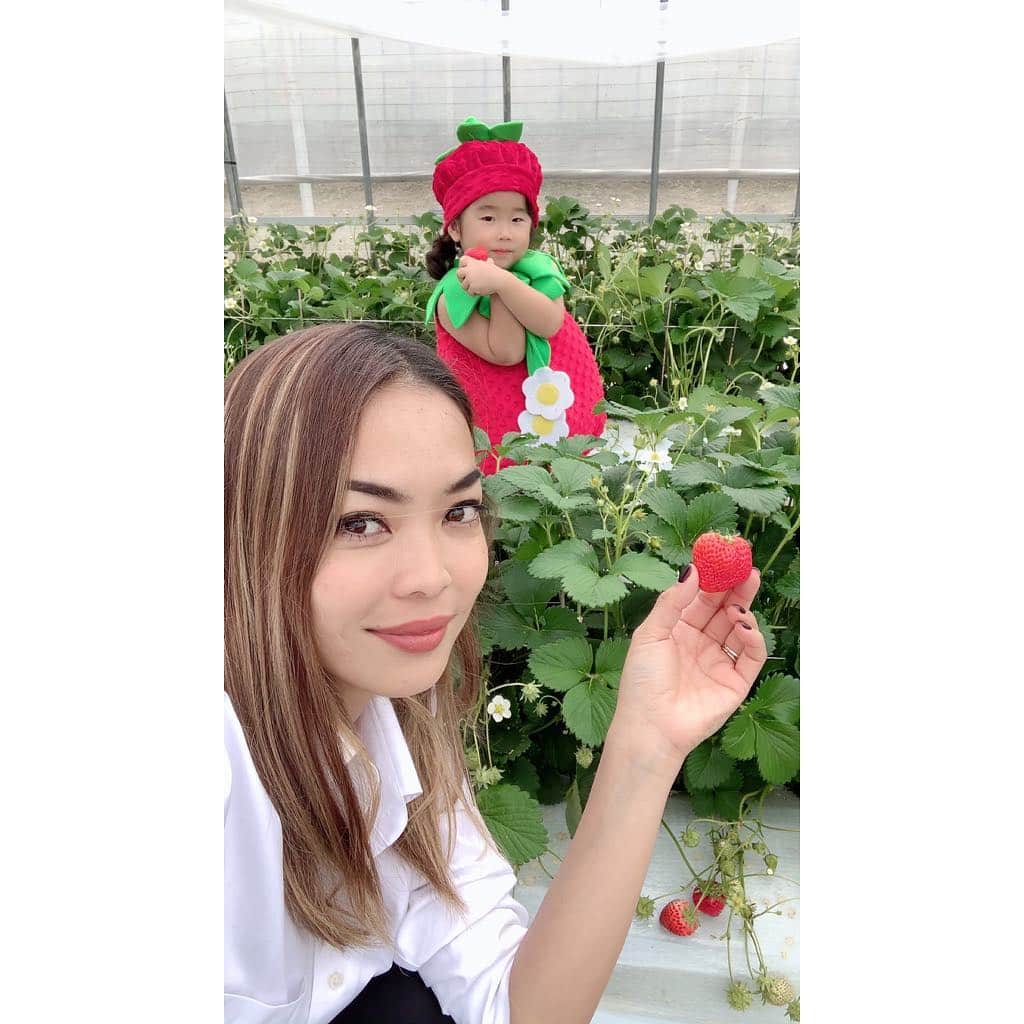 美馬寛子のインスタグラム：「いつも私をインスパイアしてくれるGiveness International！ 今日、三重にあるGiveness Intaernational の遊士屋が運営してる苺農園 @berry.japan にお邪魔してきましたー🍓  おめでたい紅白の苺のBERRY🍓 バンコクやシンガポールでも大人気だそうで、、、 改めてに日本の苺の素晴らしさを実感！ “ICHIGO” と “strawberry”って本当にちがう😳 私が”苺士さん”って言ったら、みんな笑ってくれたけど、、、遊士屋苺農園の方々の笑顔をみると、自分の仕事への誇りや、人生の意義とか、、、苺、一粒一粒への愛情やそれを日本、世界に届ける思いとか、、、すごく伝わってきました‼︎ 彼らが、「大人がここまでピュアな笑顔できるんだ」って気づかせてくれました！2019 @missuniversejapan のセミファイナリスト達も、苺士さんみたいな、意義を持った人生送って欲しいな😊🍓 * * #いちご #いちごがり🍓 #strawberry #三重 #spring」