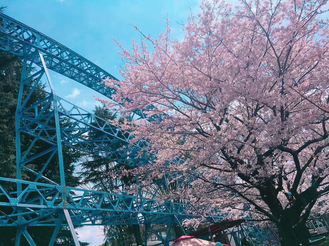 北原里英さんのインスタグラム写真 - (北原里英Instagram)「今年も桜がだいすきです🌸 さくらの儚さが本当にすき お花見もだいすき！ こちらはロケで出会った桜。 今年はまだまだたくさん 桜を感じたいですなあ🌸🍡 . . #桜 #さくら #cherryblossom #🌸」4月2日 21時11分 - rie_kitahara_3