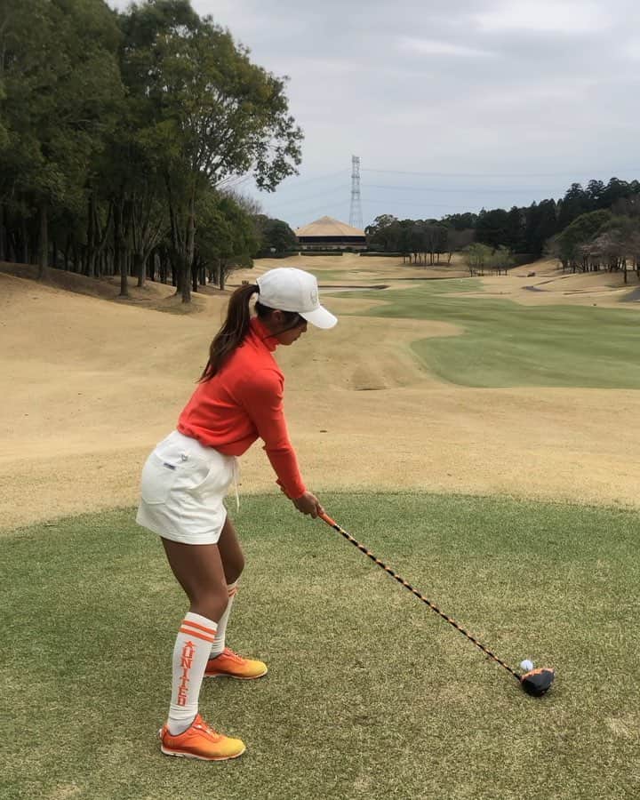 あおい夏海のグルメインスタ