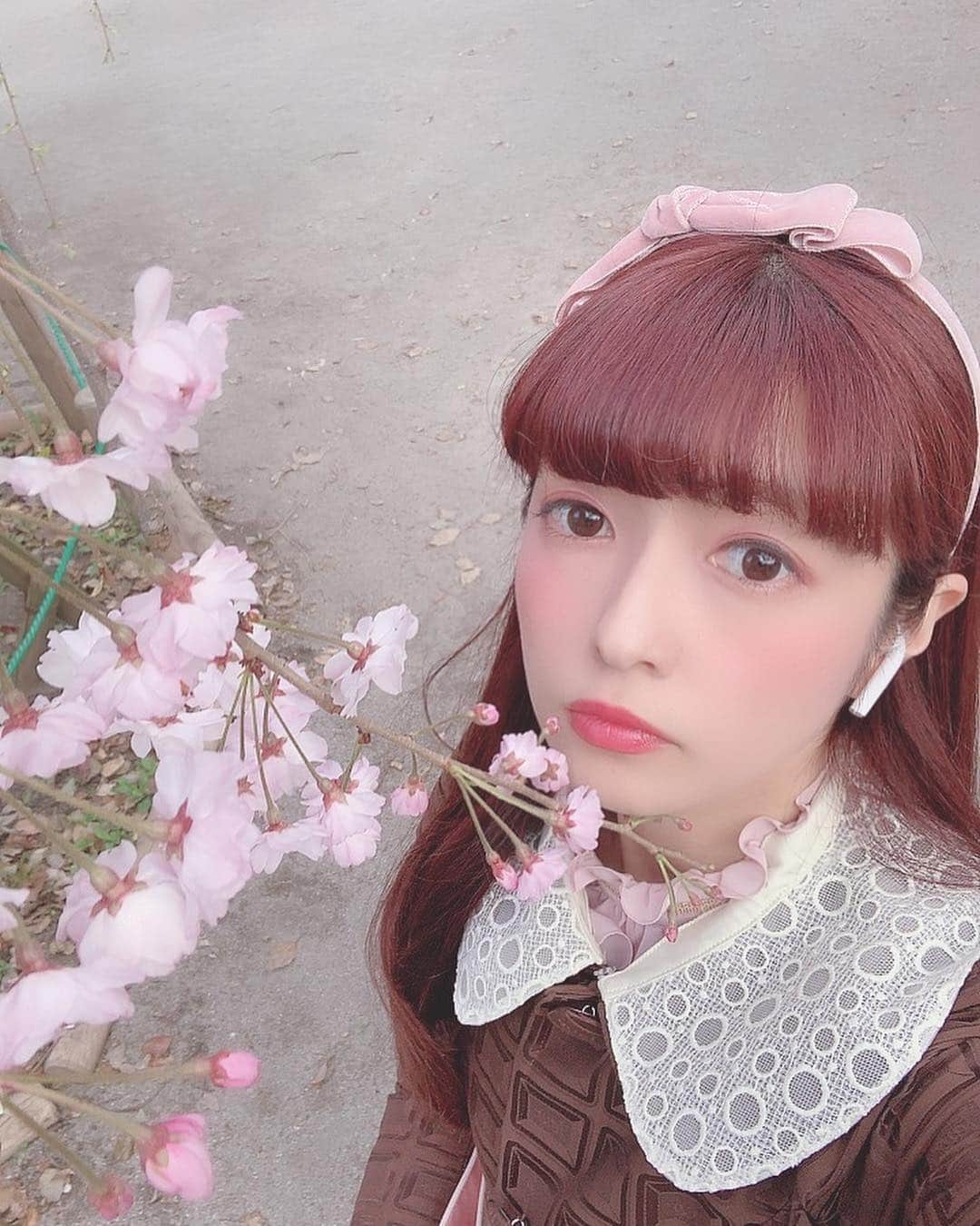 青木美沙子さんのインスタグラム写真 - (青木美沙子Instagram)「#桜咲いたね🌸 #新しい年号が発表 #令和 #令和には結婚できますように」4月2日 21時03分 - misakoaoki
