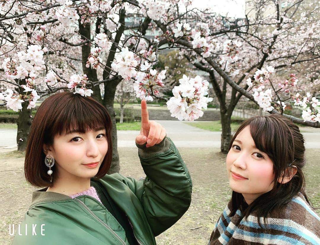 山本愛子さんのインスタグラム写真 - (山本愛子Instagram)「昨日は、久しぶりに四人揃ったのでお花見に🌸🌸❤️ 雨が降ったりやんだりの不安定なお天気でしたが、バドミントンもできたし存分に楽しみました❤️ このメンバーでいるといつも本当に笑いっぱなしで、笑い疲れるくらい笑  楽しい一日でした✨  #関西 #UMAJO #お花見」4月2日 21時03分 - aikoyade1219