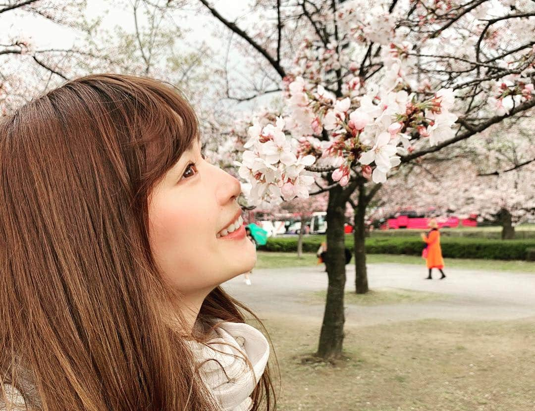 山本愛子さんのインスタグラム写真 - (山本愛子Instagram)「昨日は、久しぶりに四人揃ったのでお花見に🌸🌸❤️ 雨が降ったりやんだりの不安定なお天気でしたが、バドミントンもできたし存分に楽しみました❤️ このメンバーでいるといつも本当に笑いっぱなしで、笑い疲れるくらい笑  楽しい一日でした✨  #関西 #UMAJO #お花見」4月2日 21時03分 - aikoyade1219