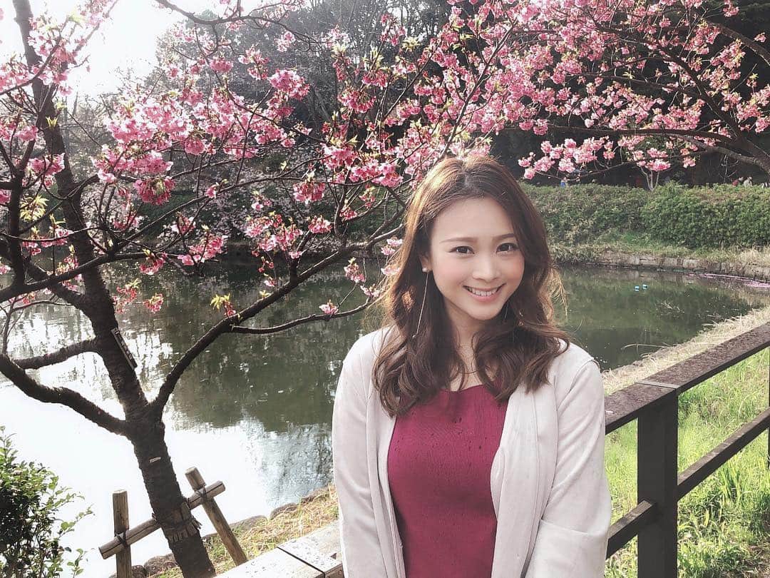 のインスタグラム：「.﻿ 土日×満開×晴天﻿ これが揃う年って少なくて…🥺﻿ 今年は都内の桜は週末とても綺麗だったようですが、横浜の染井吉野はあと一歩という感じ😨﻿ 2枚目に載せてるように、蕾もかなり多かったです💦﻿ さらにこれは日曜でしたがお天気雨もひどく、1枚目の写真、実は服が濡れています。笑﻿ ﻿ 1枚目の桜は【横浜緋桜】（ひざくら）という横浜の桜です🌸﻿ 濃いピンクが可愛かったなぁ😊﻿ 横浜ではこの桜をちらほら見かけます😌﻿ ﻿ ﻿ さてこの日は、 @handmade_ms.ehako さんが作ってくださったピアスを着けさせていただきました🤩 ﻿ 華奢シリーズのストレートチェーンピアス﻿ リーフストーン付き﻿ ¥2,000﻿ ﻿ キャッチにはパール、ロングチェーンにキラキラのストーンのついた、シンプルで上品なピアスです✨﻿ （追加料金でイヤリングにも出来るようです）﻿ ﻿ ストーンの形やカラーはいくつかの中から選ぶことができました🙌﻿ ロングチェーンはシンプルだからこそ、こだわられたというだけあり、とても綺麗なゴールドの色味と動きで、お値段以上だなと思いました😍﻿ ﻿ どちらかというと @handmade_ms.ehako さんの作品は大ぶりなピアスが多いので、そういったデザインが好きな方にもオススメです💓﻿ またキラキラのスワロフスキーを使ったリングの重ねづけもとっても可愛いなぁと🤩﻿ そして何より、今回DMでやり取りをさせて頂きましたが、オーナーさんお人柄が素敵で🥰﻿ ハンドメイドなら素敵なオーナーさんの作品が良いなぁと思っちゃいます😋﻿ ﻿ ぜひ @handmade_ms.ehako さんのインスタもチェックしてみてください🤗﻿ ありがとうございました❣️﻿ .﻿ #cherryblossom #yokohama #cherryblossoms #followme #accessory #accessories #pierce #earrings #handmade #jewelry #handmadejewelry #eoskissm #canoneoskissm #お花見 #花見 #桜 #横浜緋桜 #横浜 #ピアス #アクセサリー #ハンドメイドアクセサリー #ハンドメイドピアス #ロングピアス #ハンドメイド」