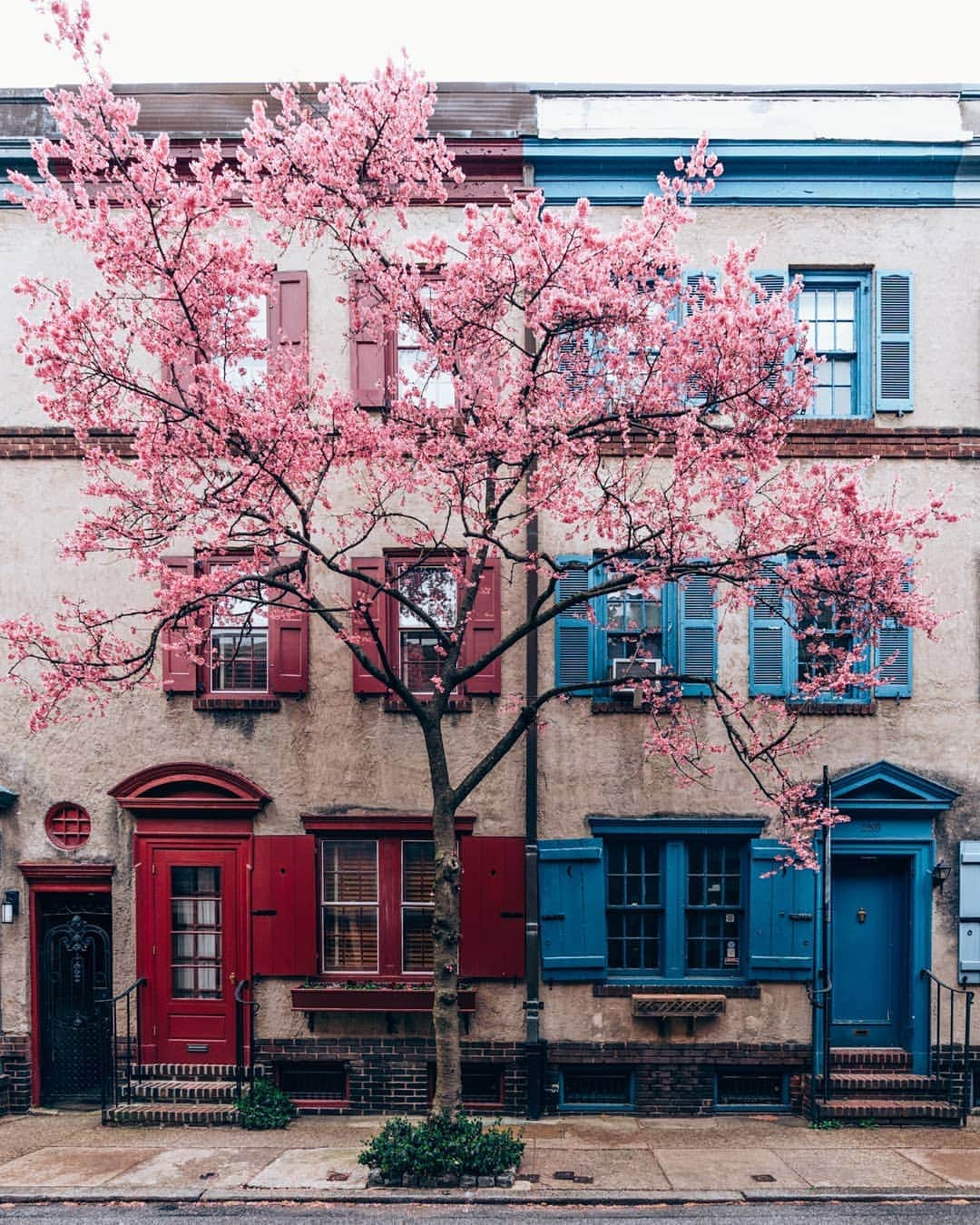 VuTheara Khamさんのインスタグラム写真 - (VuTheara KhamInstagram)「In love with those spring vibes in #Philly, Fitler Square 🌸 . . @visittheusa #visittheusa #DiscoverPHL」4月2日 21時13分 - vutheara
