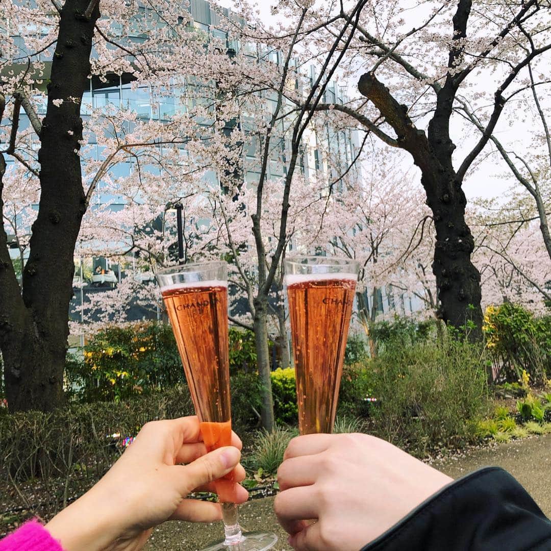 我謝レイラニのインスタグラム：「先週末は色んなとこで花見したよ🍡🌸 #ミッドタウン ではゆっくり座って #CHANDON に舌鼓(*´︶`*) 普通のと迷ったけど‥#インスタ映え 狙ってロゼにした🤣 大人数でのお花見とか何年ぶりだろ？？意外と知られてないけど人見知りの私には少しハードル高かった‥でも食べて食べてひたすら食べて楽しみました😋笑 #花より団子 が1番いい⤴︎今年は今週末もまだまだお花見楽しめそうでよかった🌸🌸🌸 #お花見 懐かしき #仮面ライダー555 #アギト と #電王 出てたお2人も一緒に♡ この後中目黒も行ったんだけど、花見のハシゴで疲れてたのと人が多すぎて写真撮る気に全然ならなかった💦💦こりゃ、また行くしかないな😏誰か行かない？？」