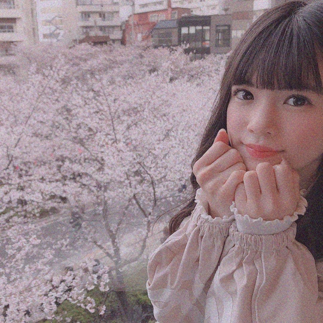 望月朱音  さんのインスタグラム写真 - (望月朱音  Instagram)「#桜  #お花見 #中目黒 #さくら #🌸 #春 #ピンク」4月2日 21時28分 - motizuki_akane