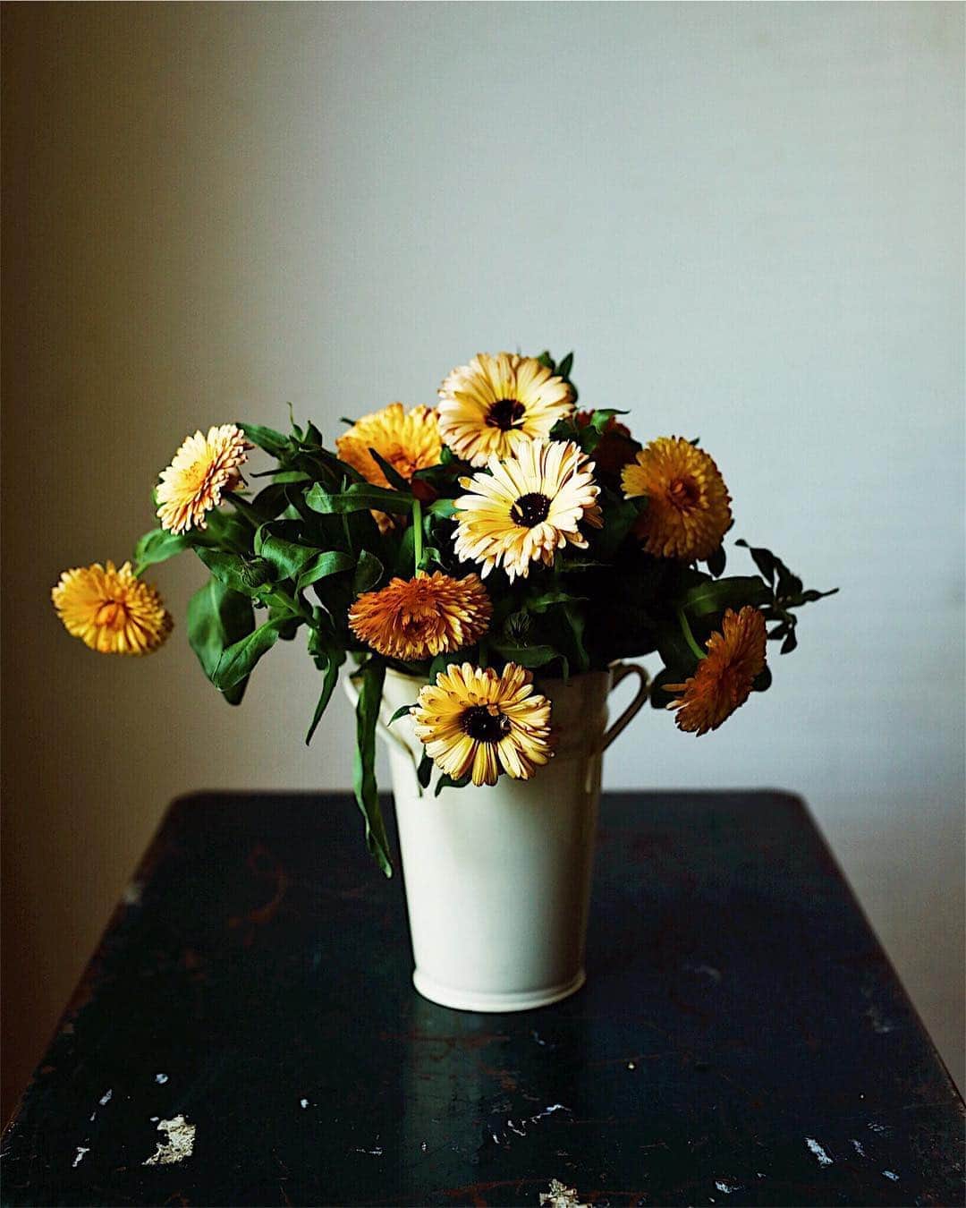増田由希子さんのインスタグラム写真 - (増田由希子Instagram)「Calendulas🧡 #favoriteflowers 素朴で親しみやすいカレンデュラの花が好き。 #Calendula #Calendulas」4月2日 21時24分 - nonihana_